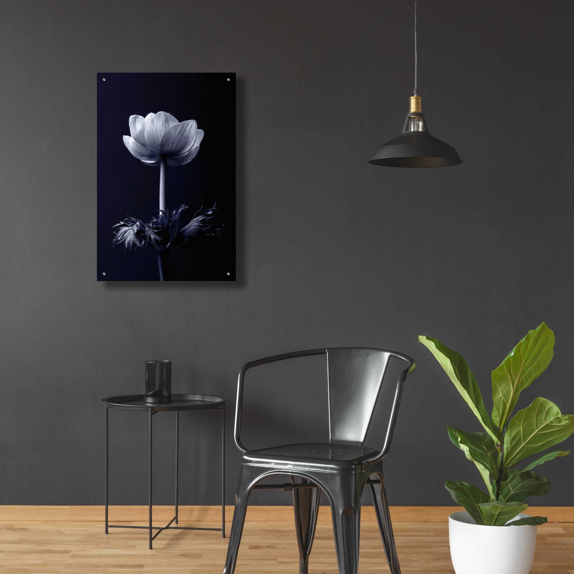 Epic Art 'Single Flower' by Incado, Acrylic Glass Wall Art,24x36