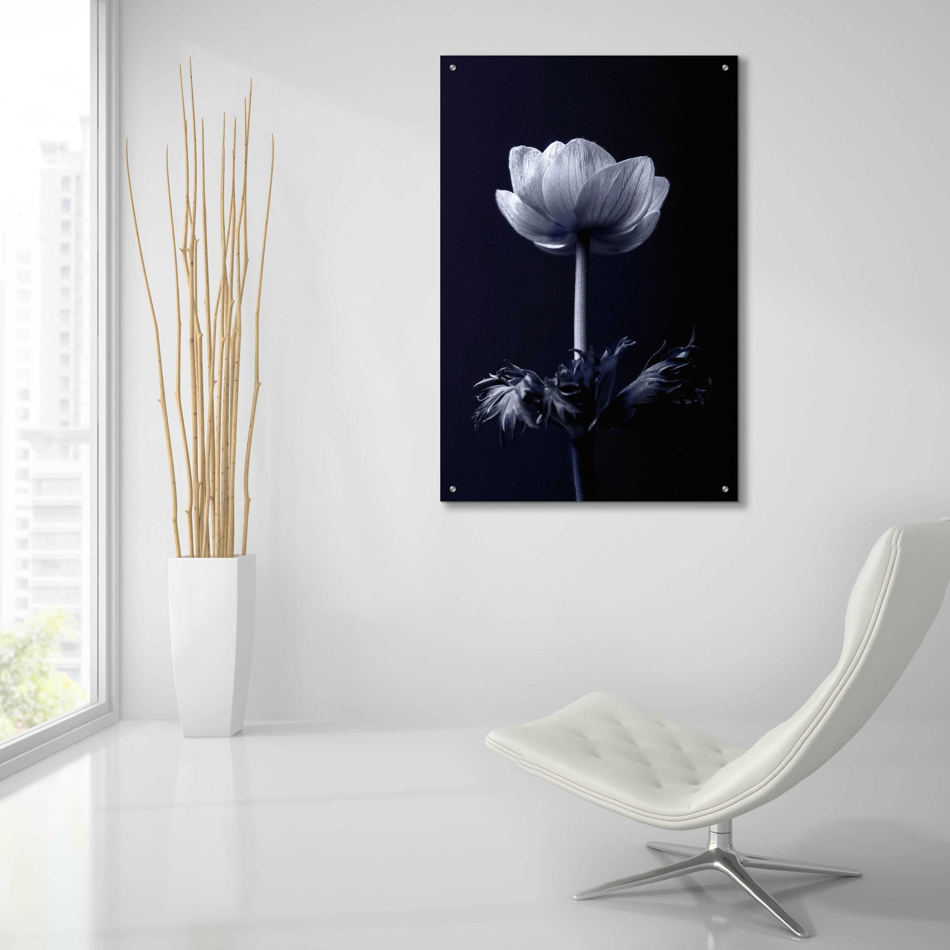 Epic Art 'Single Flower' by Incado, Acrylic Glass Wall Art,24x36