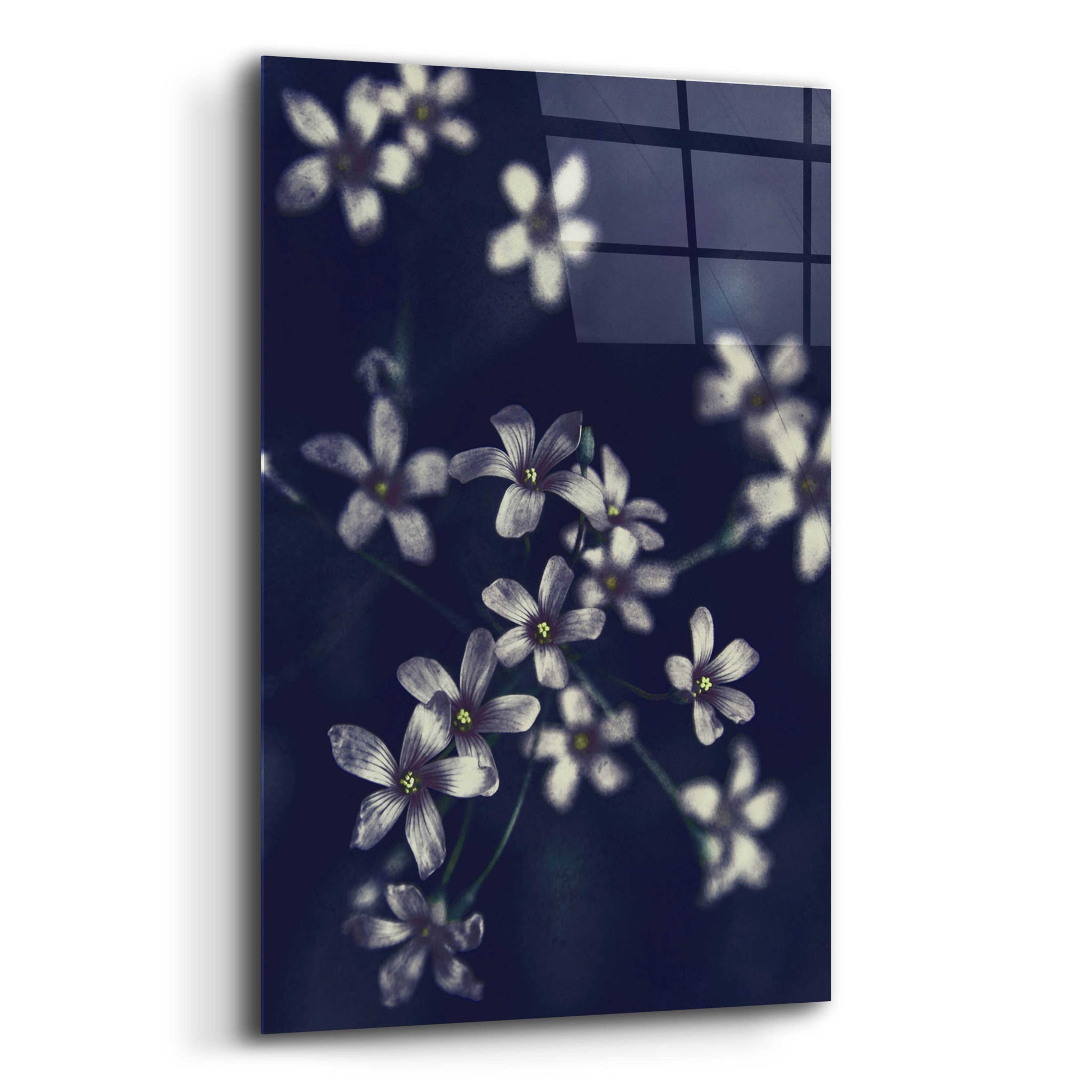 Epic Art 'Small Flowers' by Incado, Acrylic Glass Wall Art,12x16