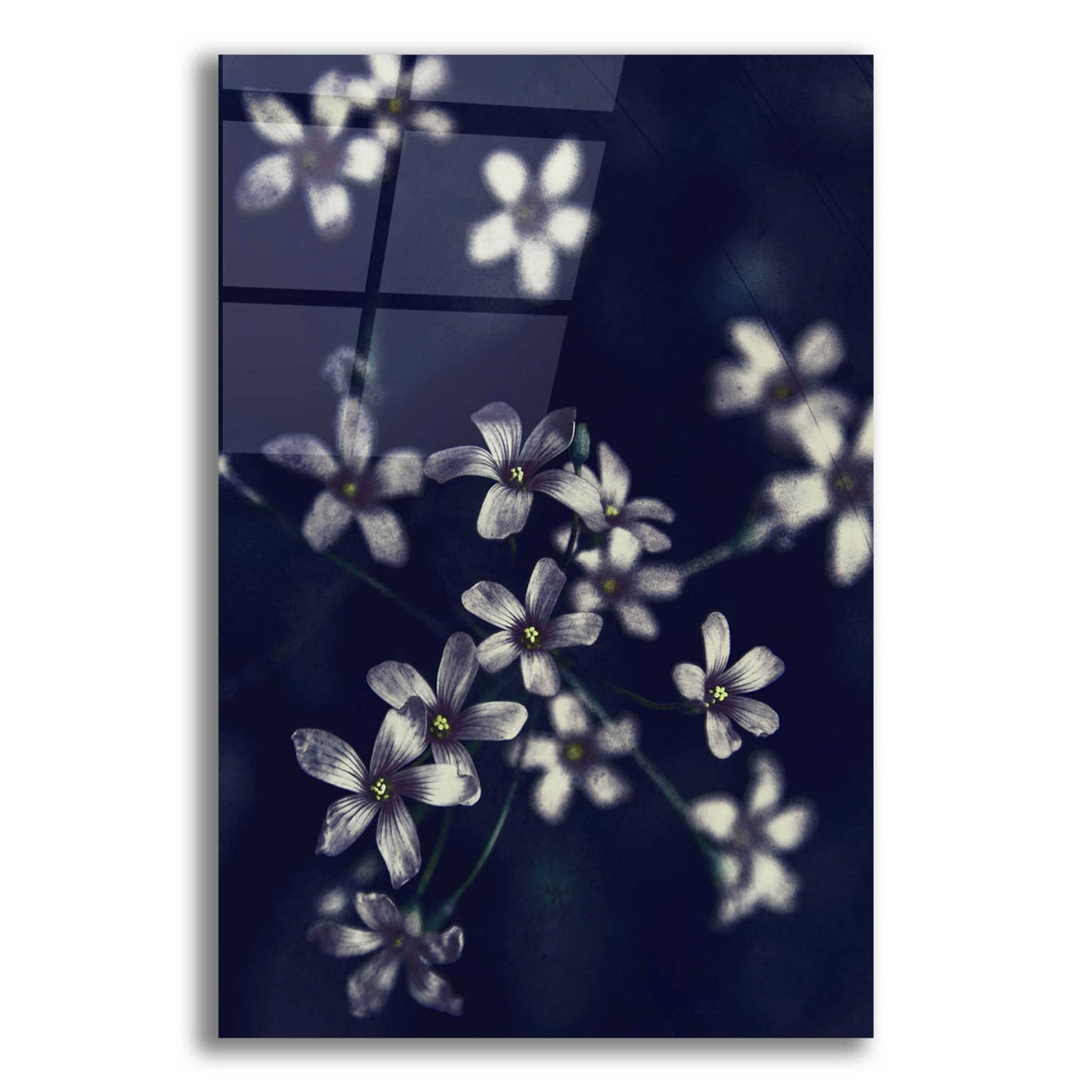 Epic Art 'Small Flowers' by Incado, Acrylic Glass Wall Art