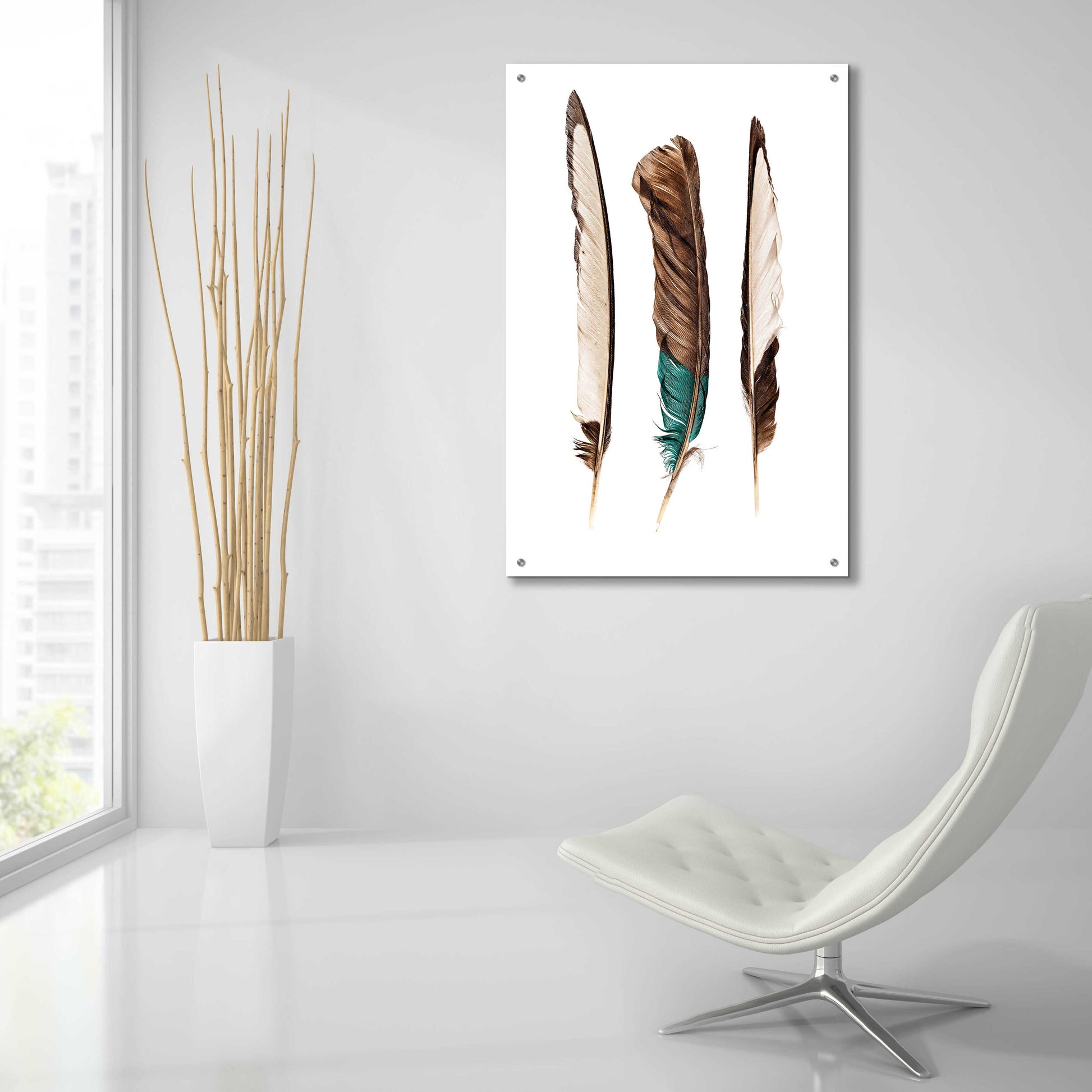 Epic Art 'Three Feathers' by Incado, Acrylic Glass Wall Art,24x36