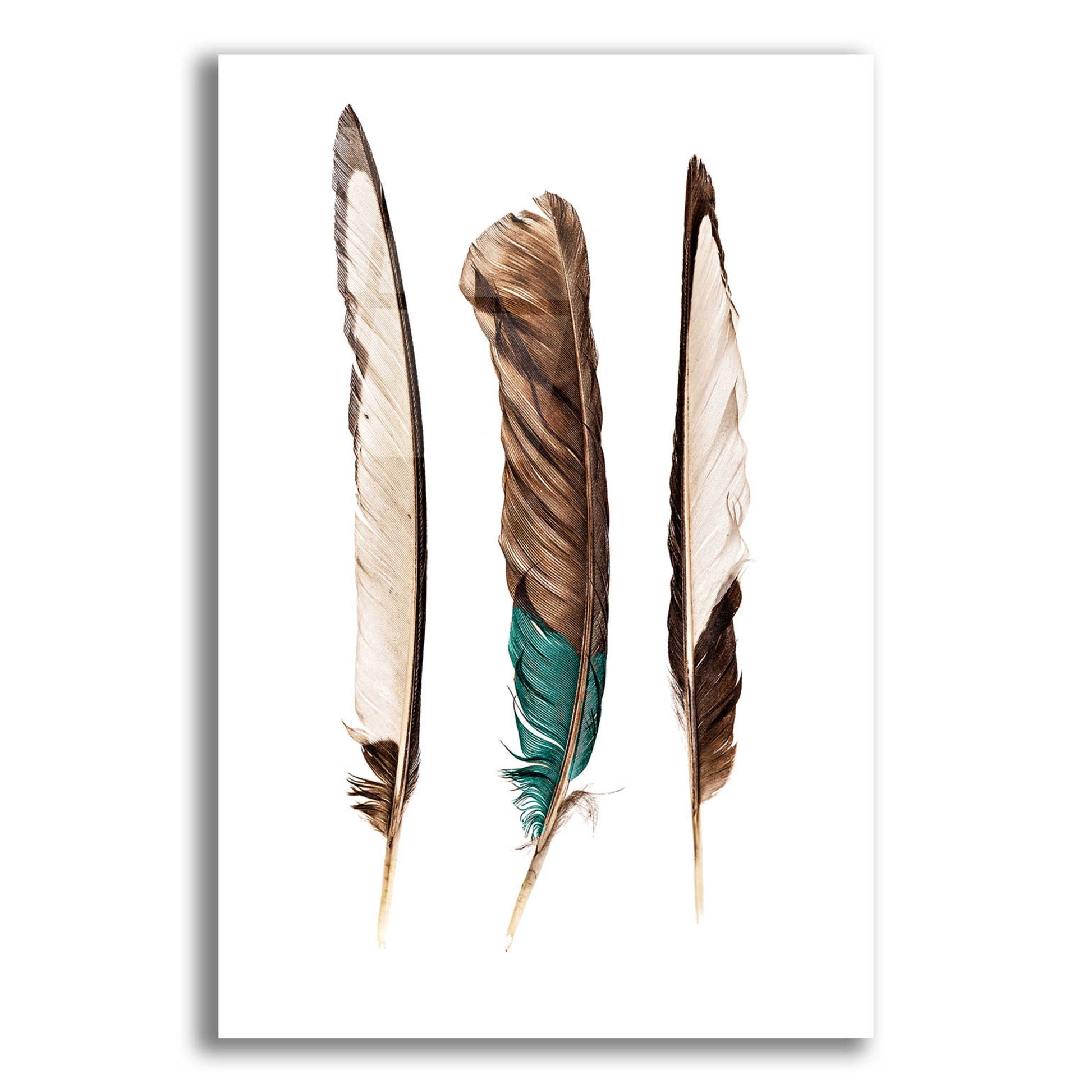 Epic Art 'Three Feathers' by Incado, Acrylic Glass Wall Art