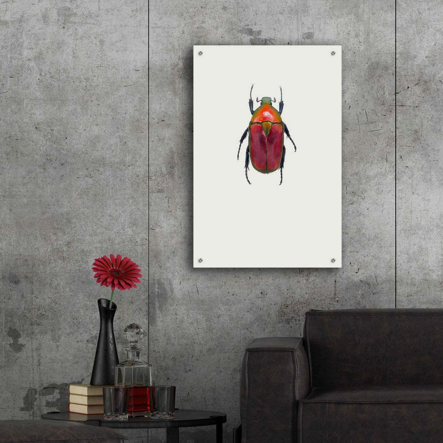 Epic Art 'Torynorrhina Flammea' by Incado, Acrylic Glass Wall Art,24x36