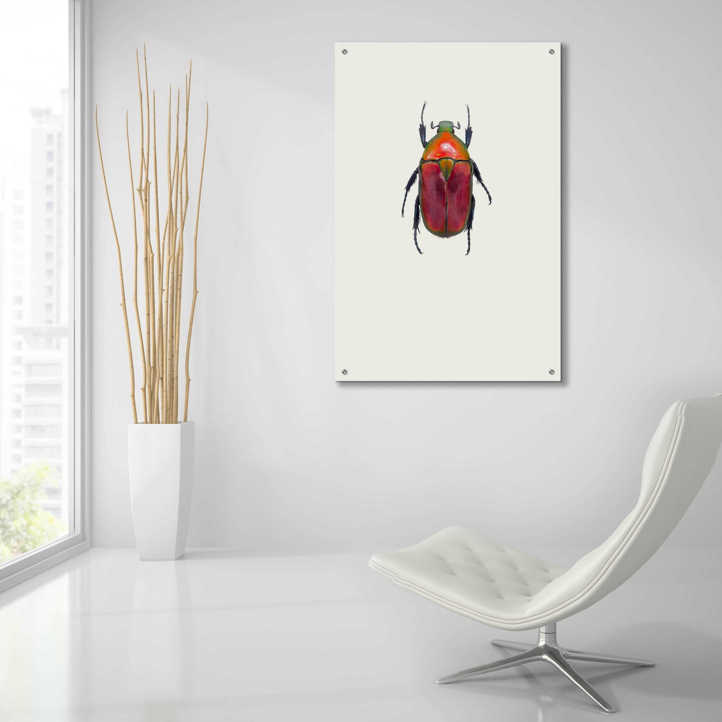 Epic Art 'Torynorrhina Flammea' by Incado, Acrylic Glass Wall Art,24x36