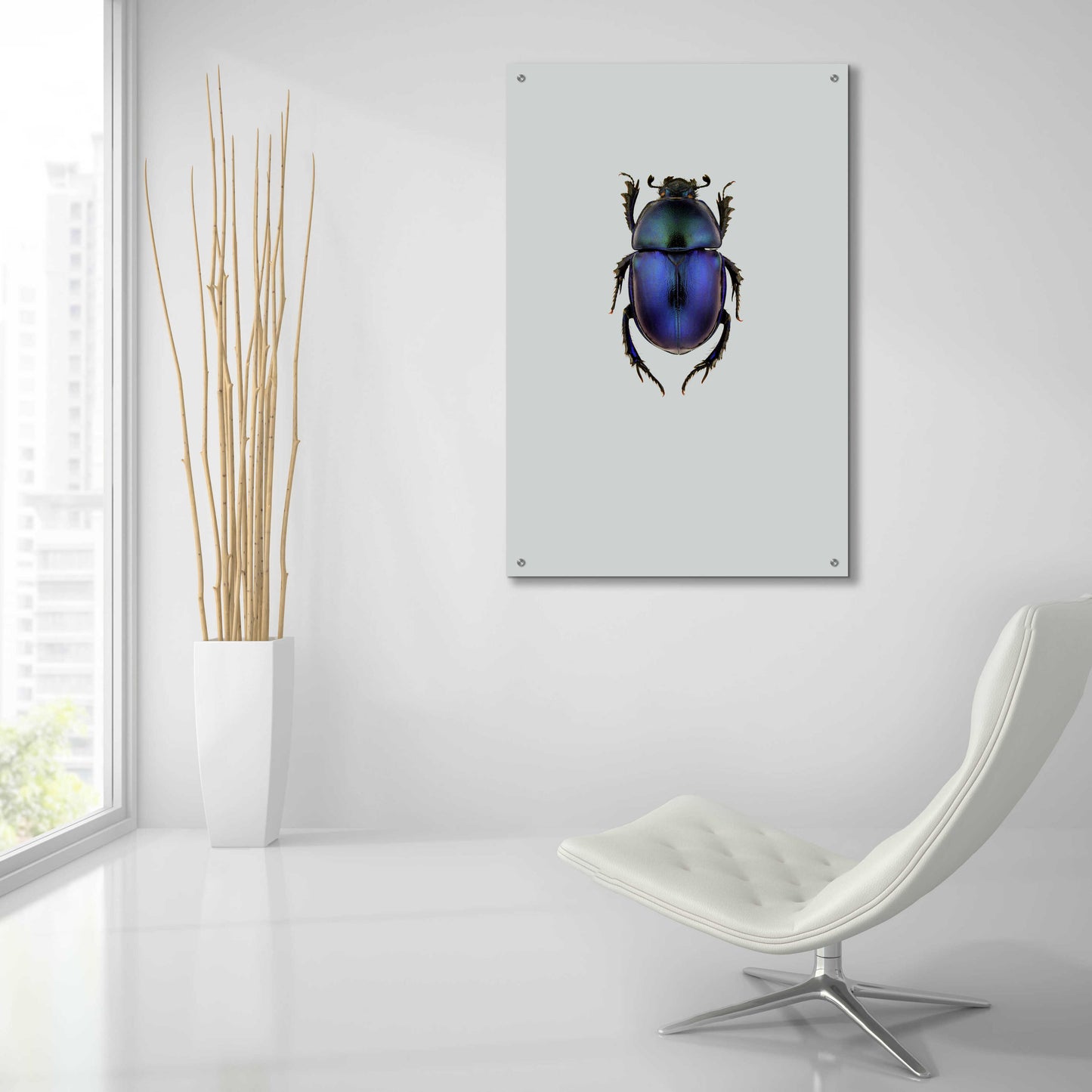 Epic Art 'Trypocopris Vernalis' by Incado, Acrylic Glass Wall Art,24x36