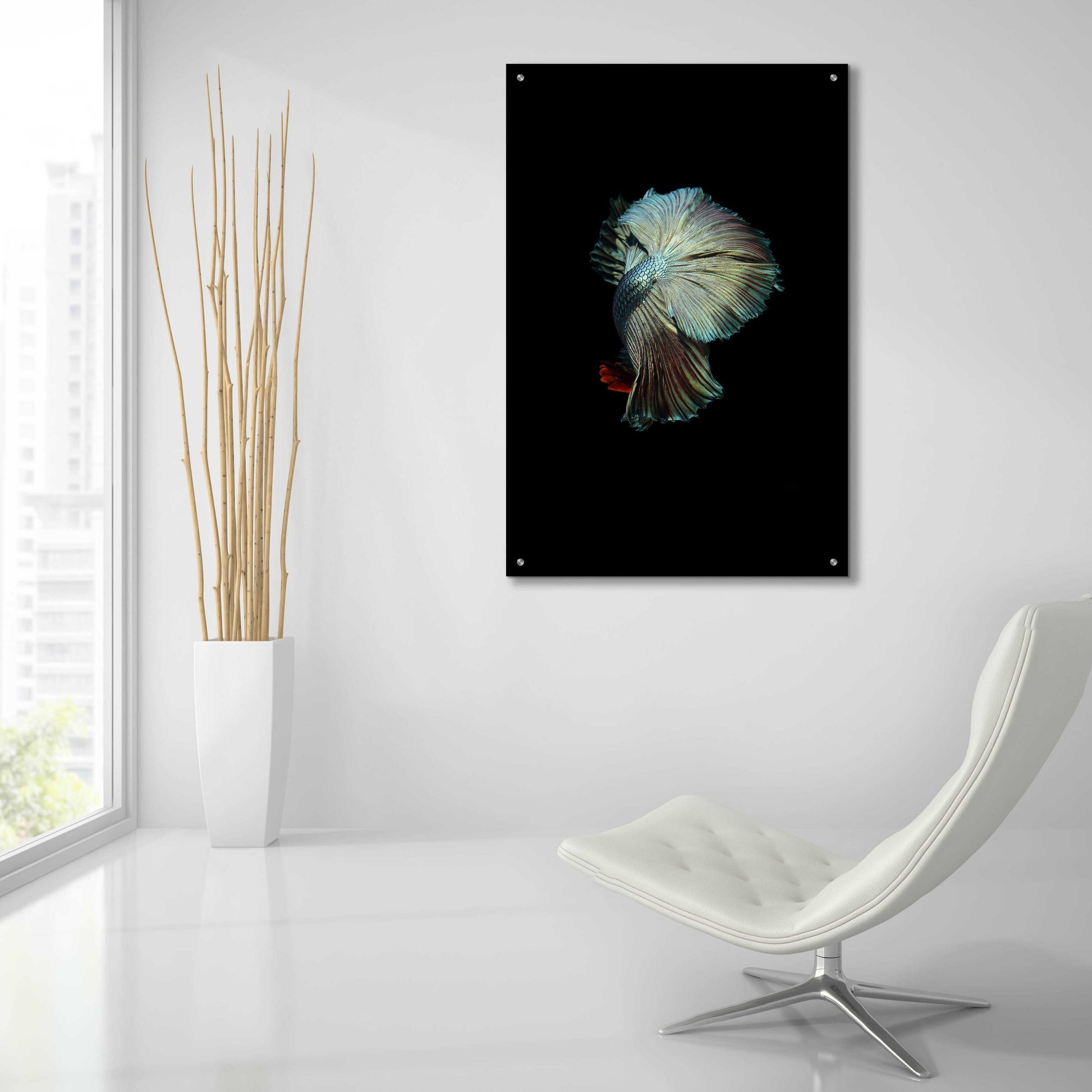 Epic Art 'Turquoise and Red Betta' by Incado, Acrylic Glass Wall Art,24x36