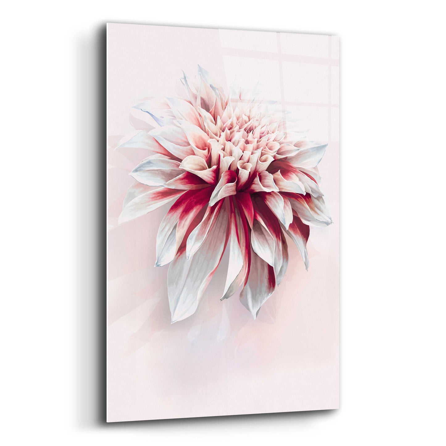 Epic Art 'Water Dahlia' by Incado, Acrylic Glass Wall Art,12x16