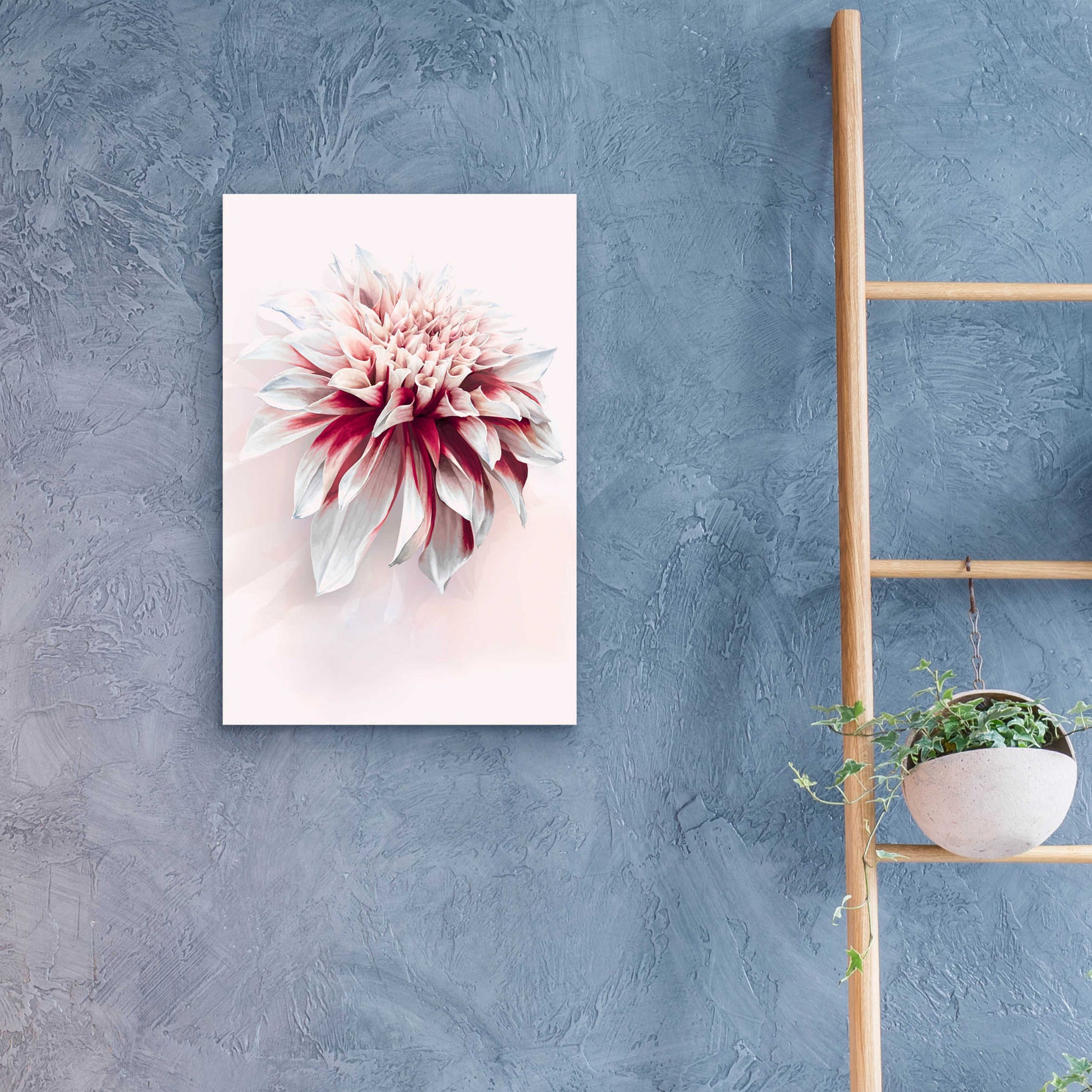 Epic Art 'Water Dahlia' by Incado, Acrylic Glass Wall Art,16x24