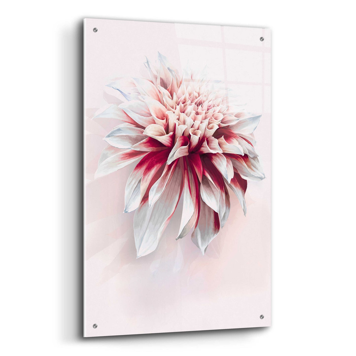 Epic Art 'Water Dahlia' by Incado, Acrylic Glass Wall Art,24x36