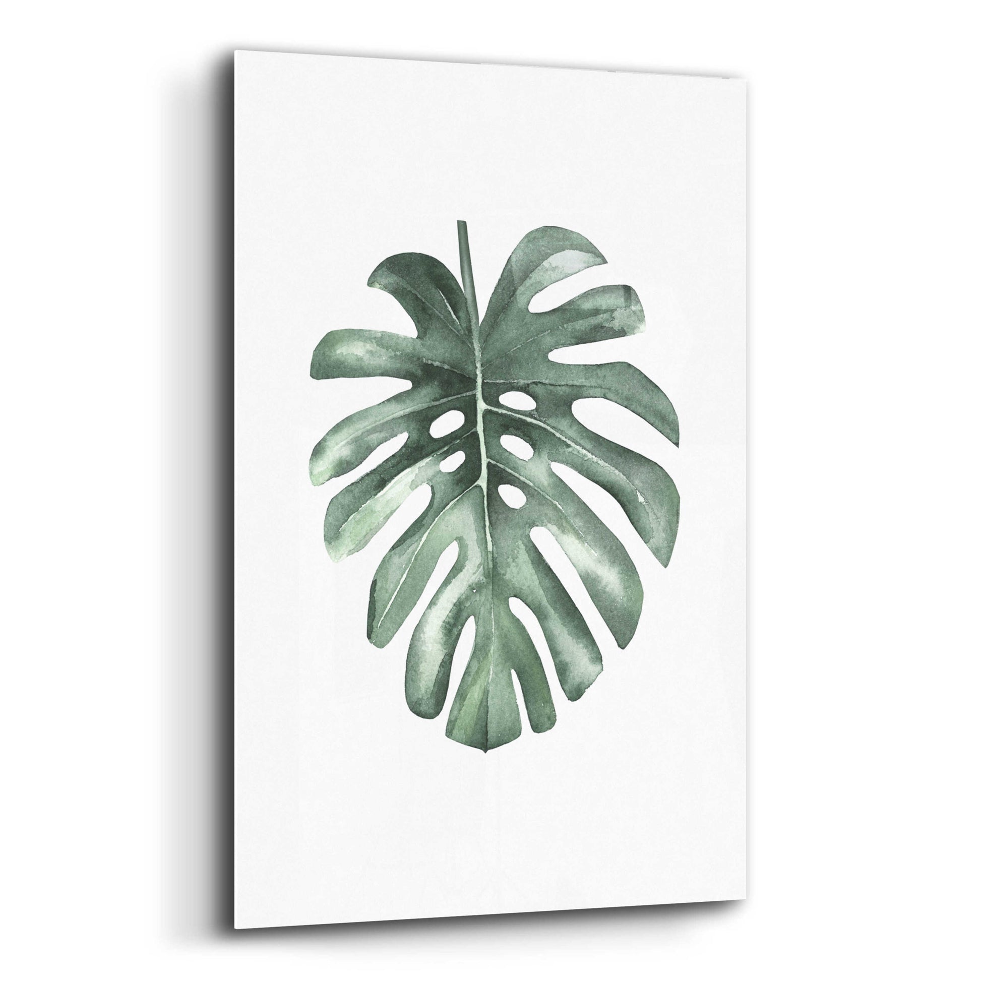 Epic Art 'Water Leaf' by Incado, Acrylic Glass Wall Art,12x16