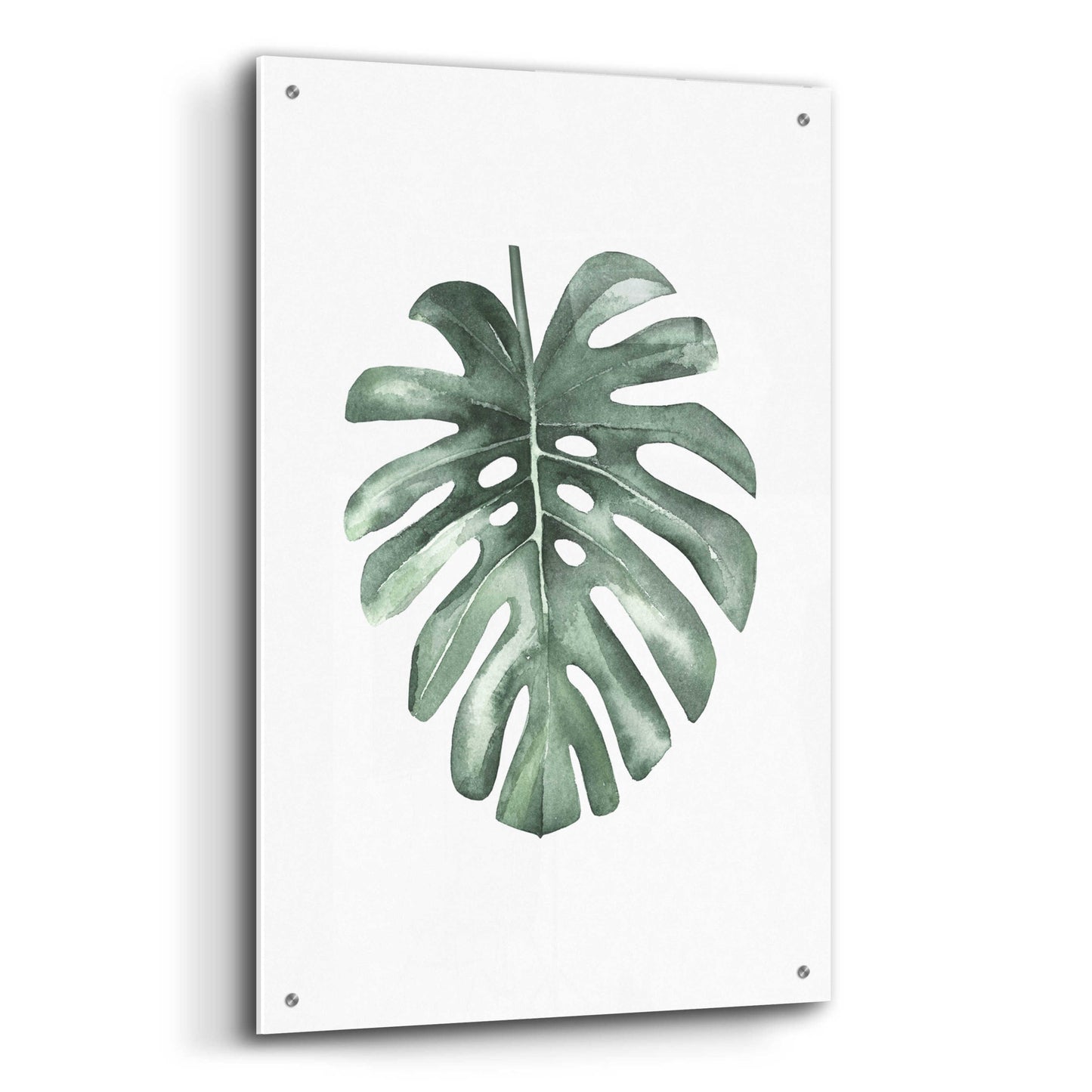 Epic Art 'Water Leaf' by Incado, Acrylic Glass Wall Art,24x36