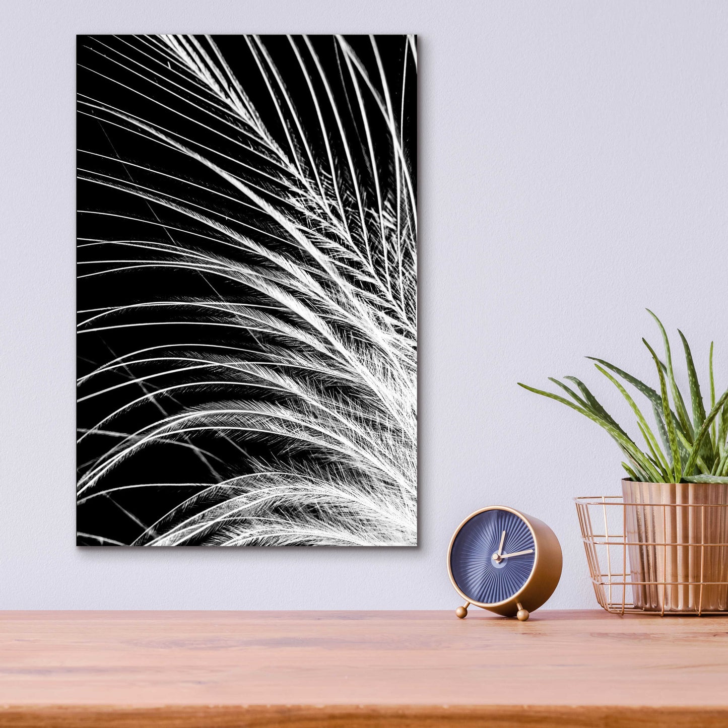 Epic Art 'White Feather' by Incado, Acrylic Glass Wall Art,12x16