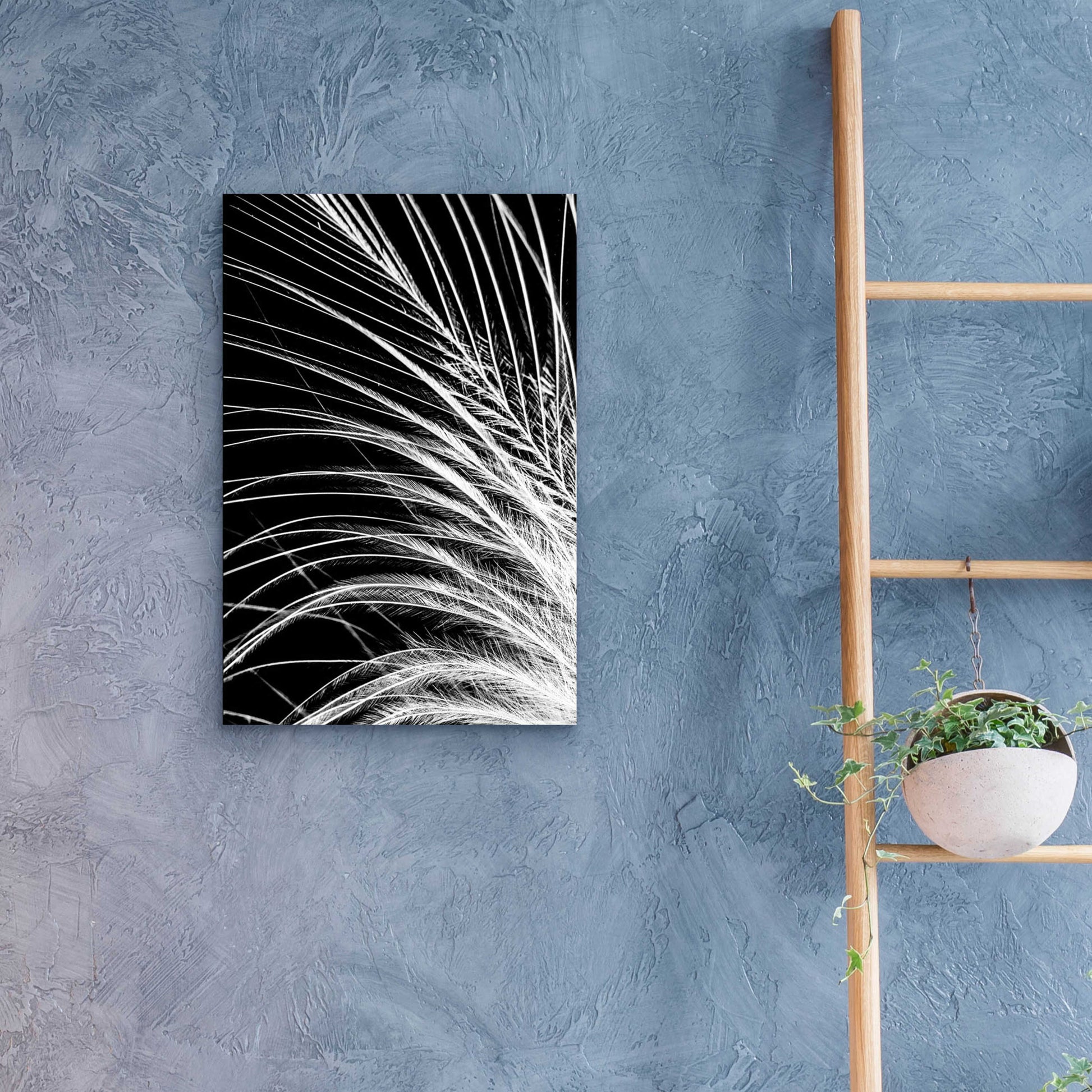 Epic Art 'White Feather' by Incado, Acrylic Glass Wall Art,16x24