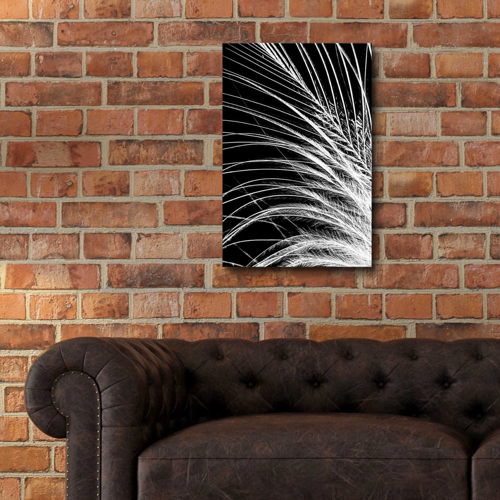 Epic Art 'White Feather' by Incado, Acrylic Glass Wall Art,16x24