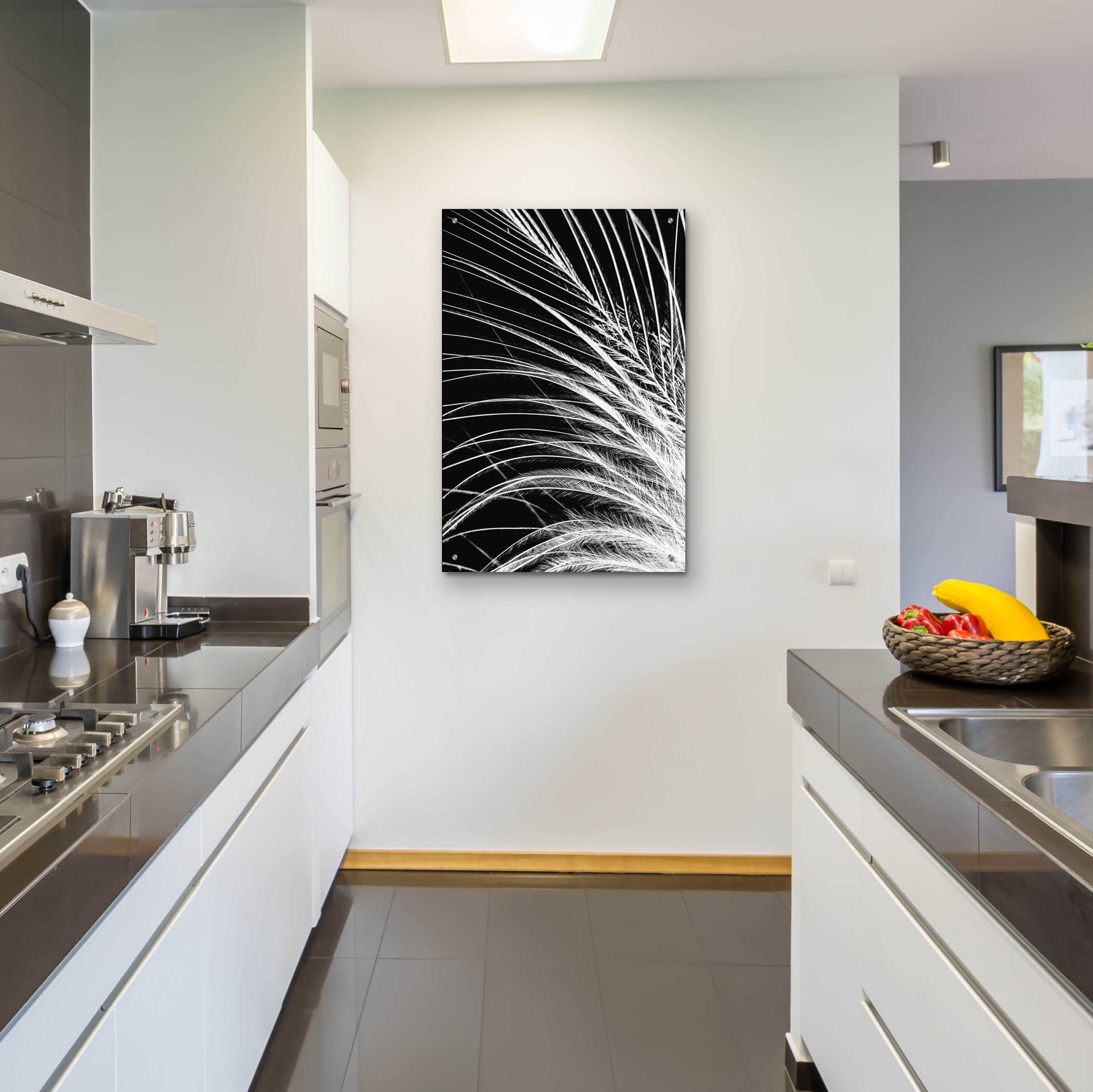 Epic Art 'White Feather' by Incado, Acrylic Glass Wall Art,24x36