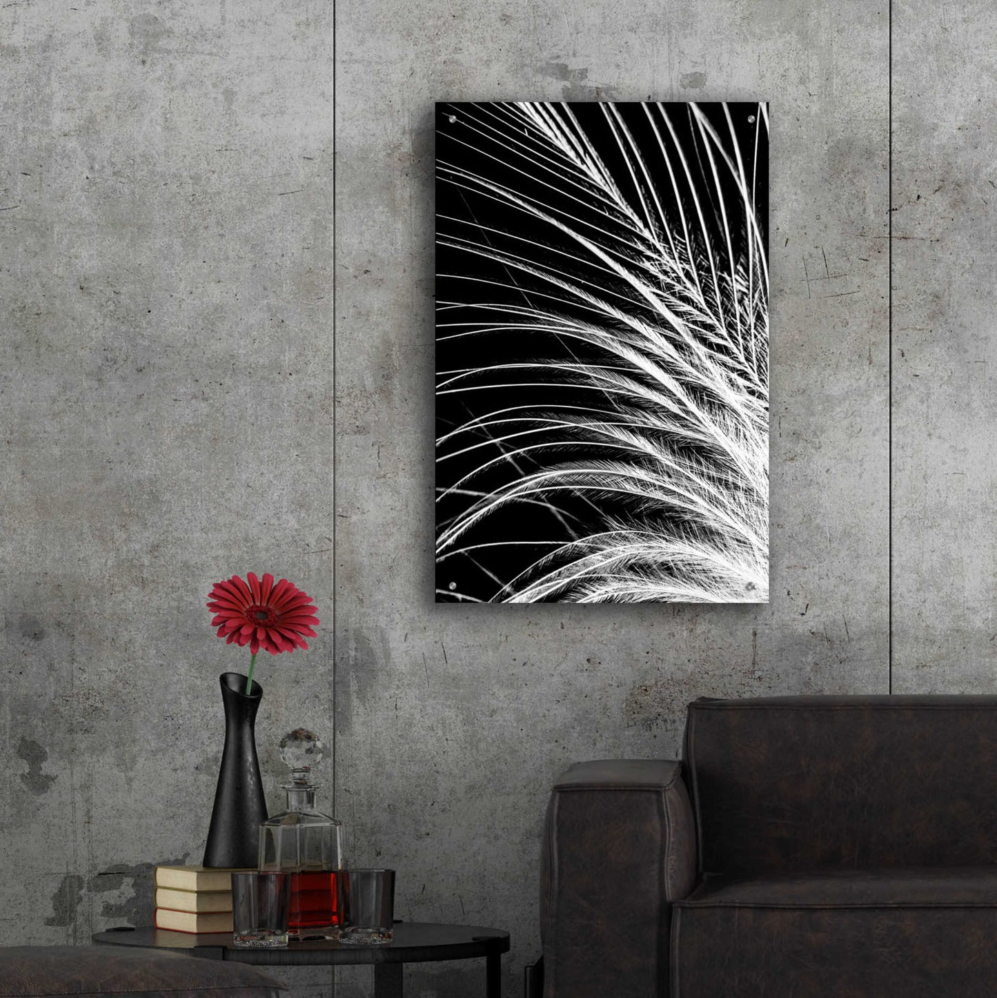 Epic Art 'White Feather' by Incado, Acrylic Glass Wall Art,24x36