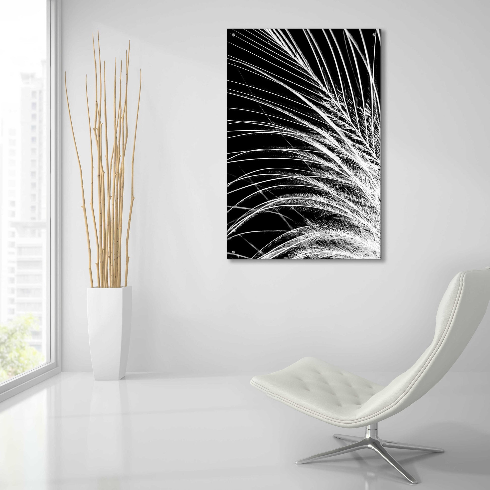 Epic Art 'White Feather' by Incado, Acrylic Glass Wall Art,24x36