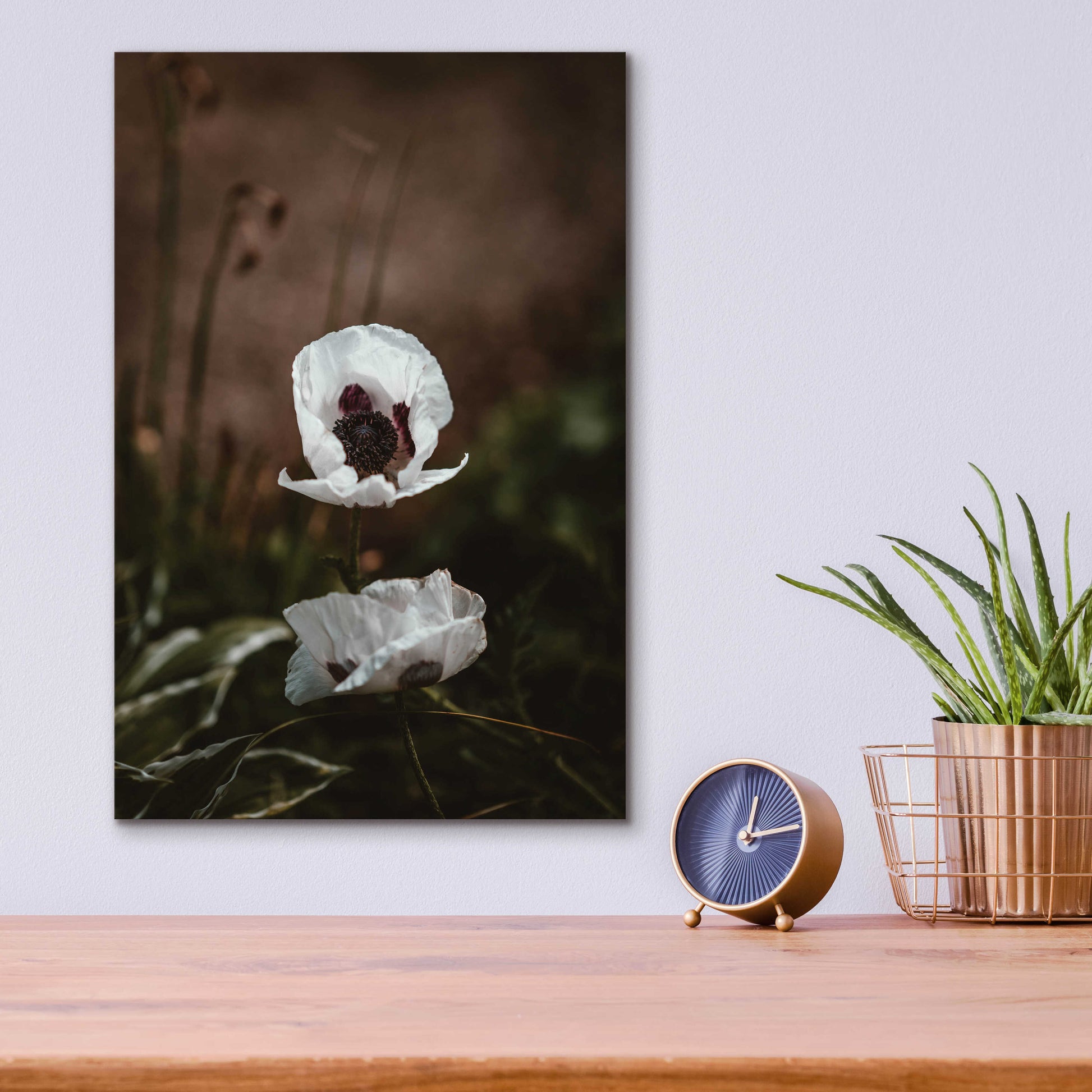 Epic Art 'White Poppies' by Incado, Acrylic Glass Wall Art,12x16