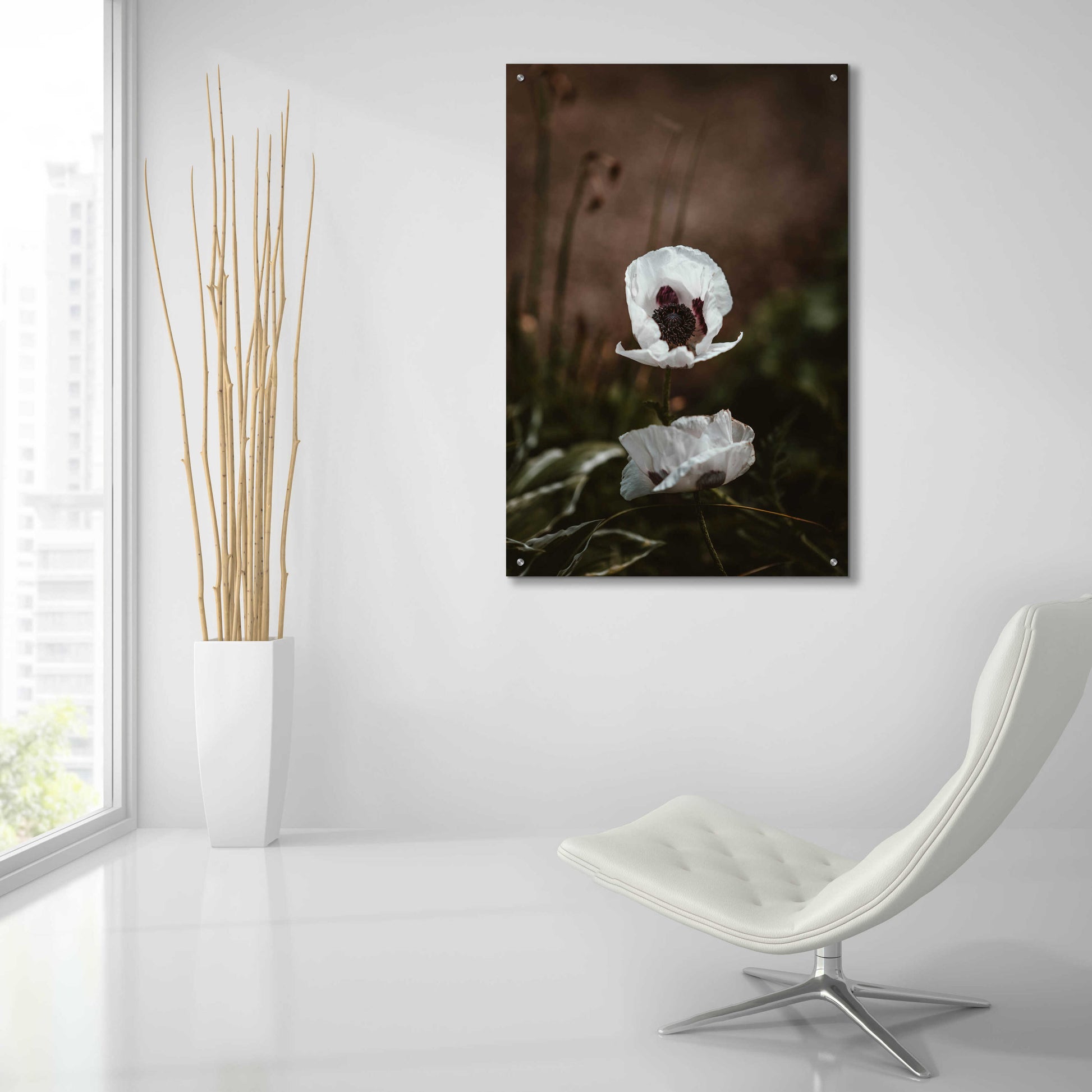 Epic Art 'White Poppies' by Incado, Acrylic Glass Wall Art,24x36