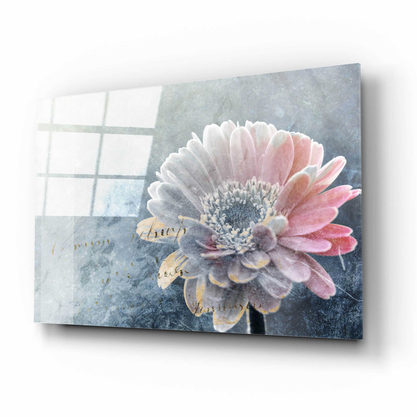 Epic Art 'Winter Flower' by Incado, Acrylic Glass Wall Art,16x12