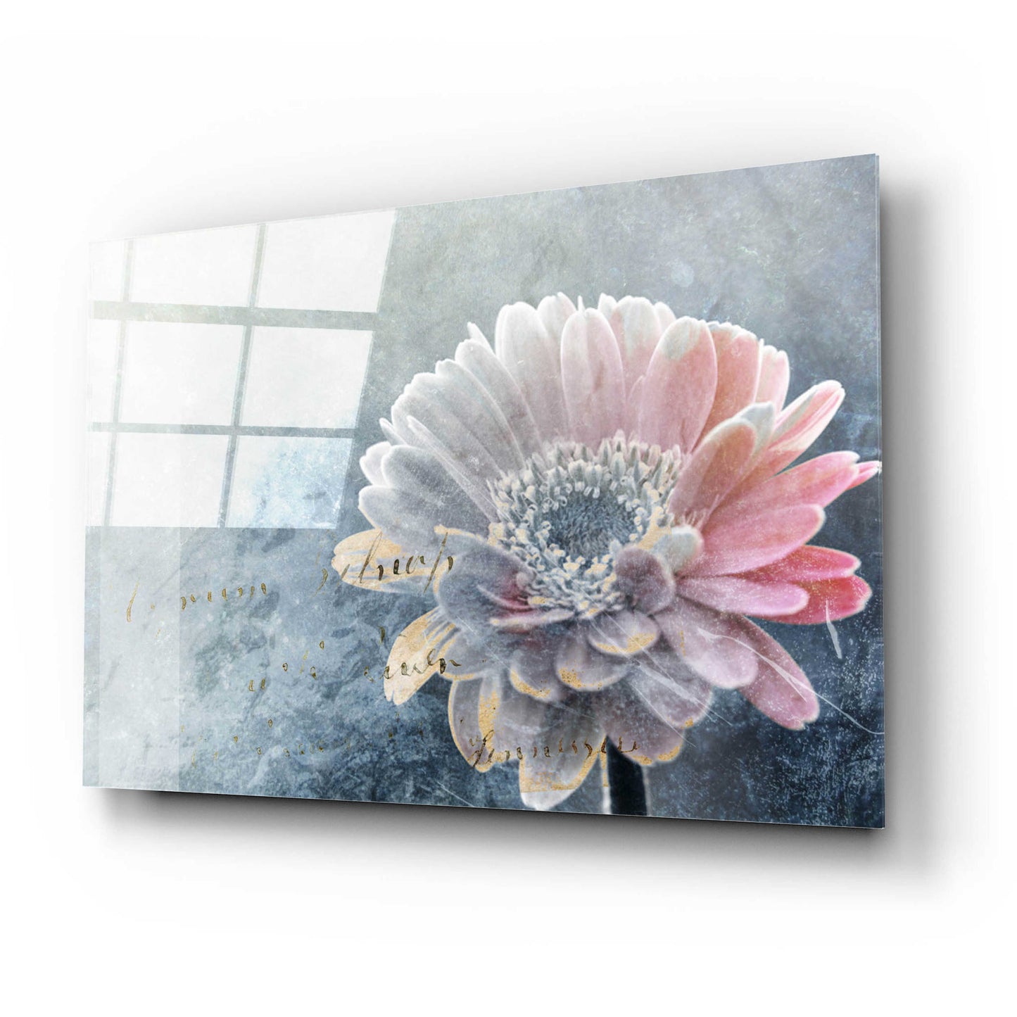 Epic Art 'Winter Flower' by Incado, Acrylic Glass Wall Art,24x16