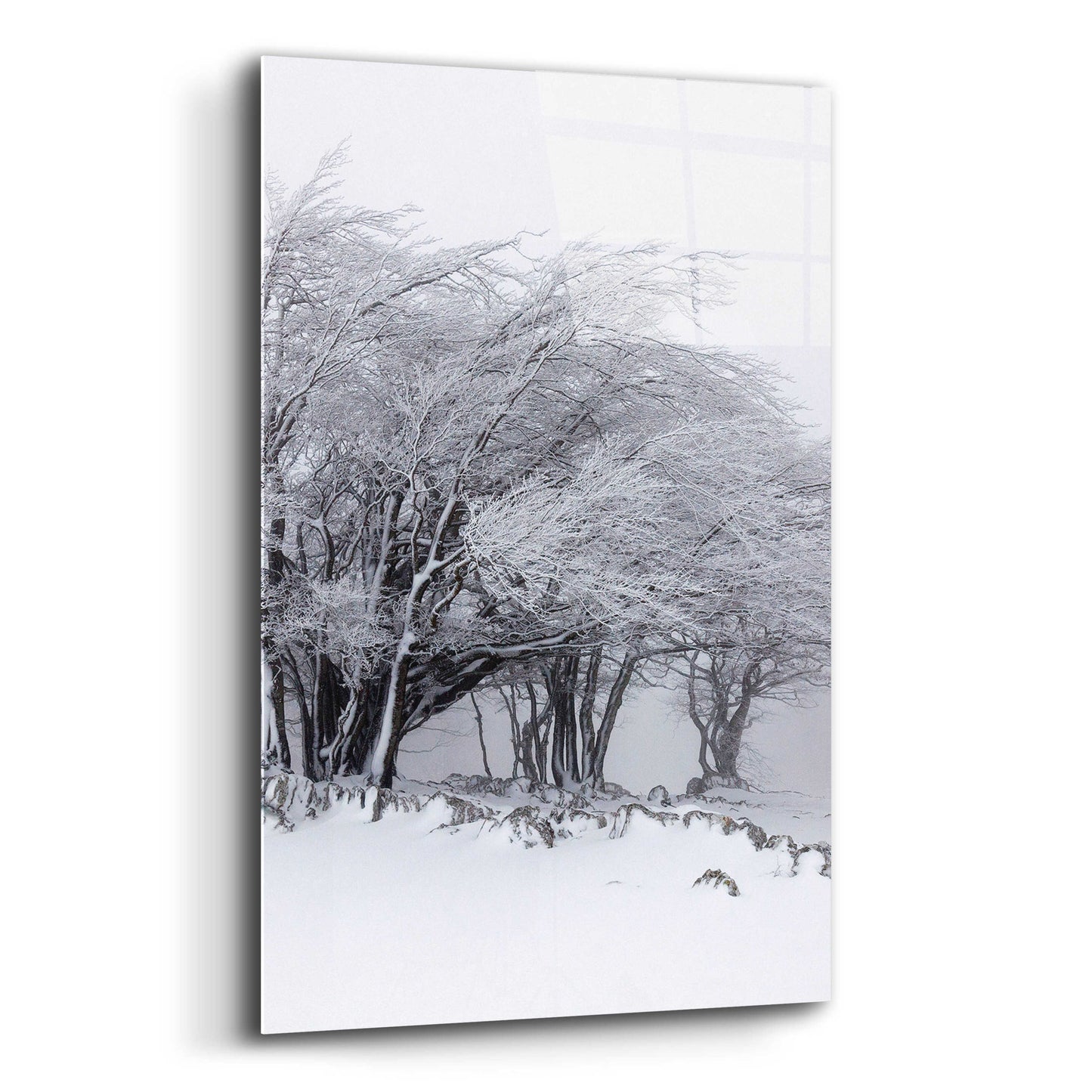 Epic Art 'Winter Storm' by Incado, Acrylic Glass Wall Art,12x16