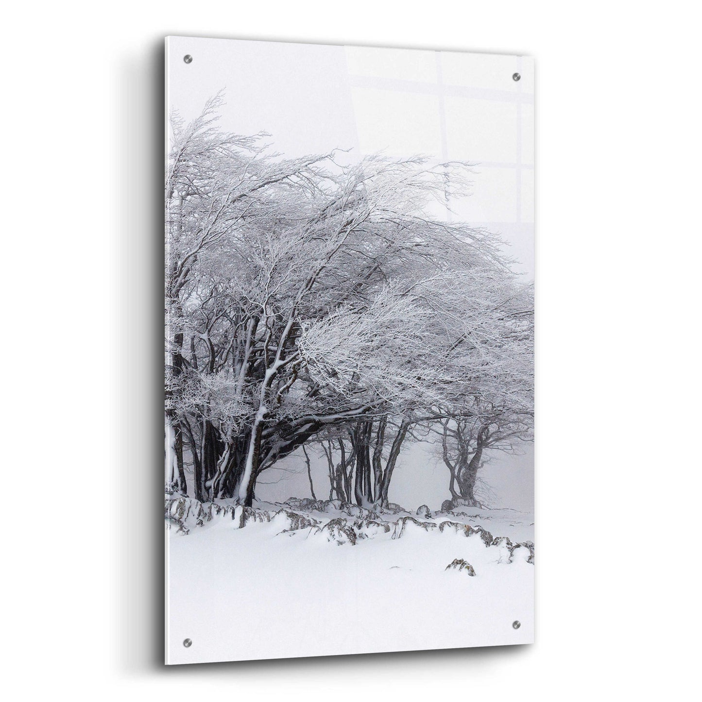 Epic Art 'Winter Storm' by Incado, Acrylic Glass Wall Art,24x36