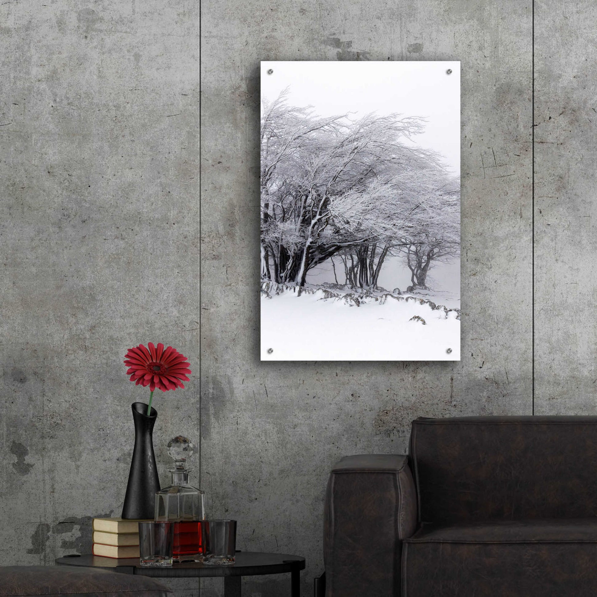 Epic Art 'Winter Storm' by Incado, Acrylic Glass Wall Art,24x36