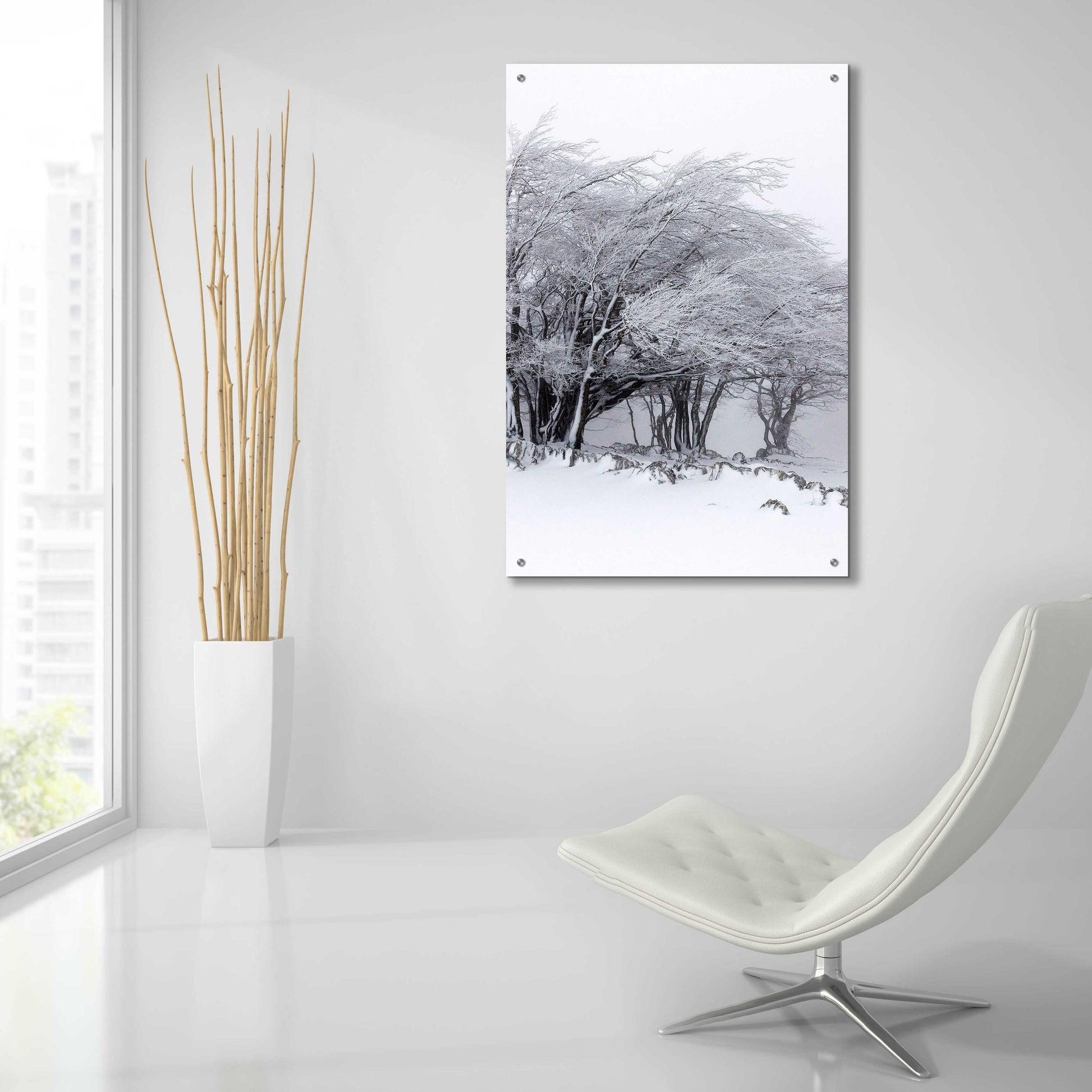 Epic Art 'Winter Storm' by Incado, Acrylic Glass Wall Art,24x36