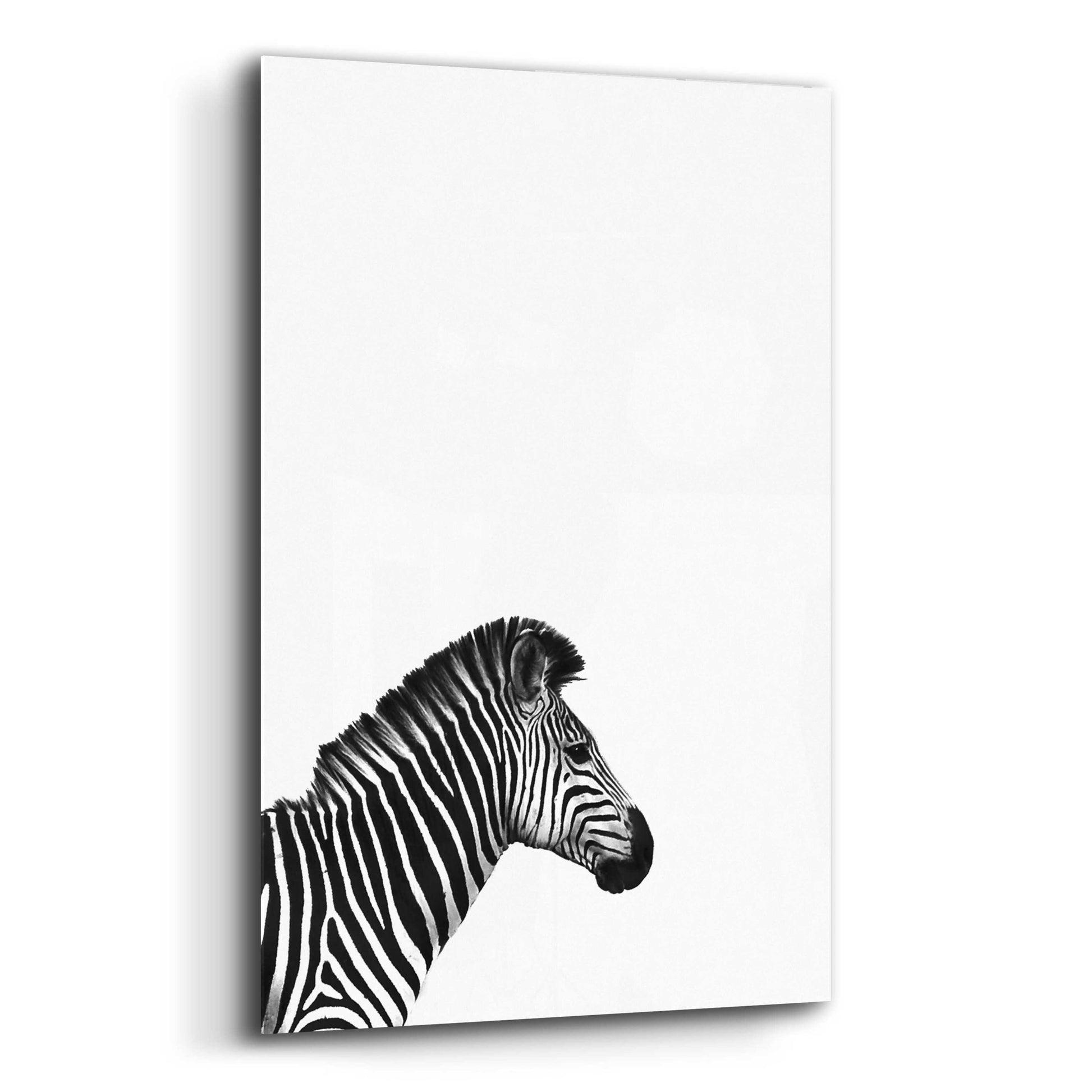 Epic Art 'Zebra 2' by Incado, Acrylic Glass Wall Art,12x16