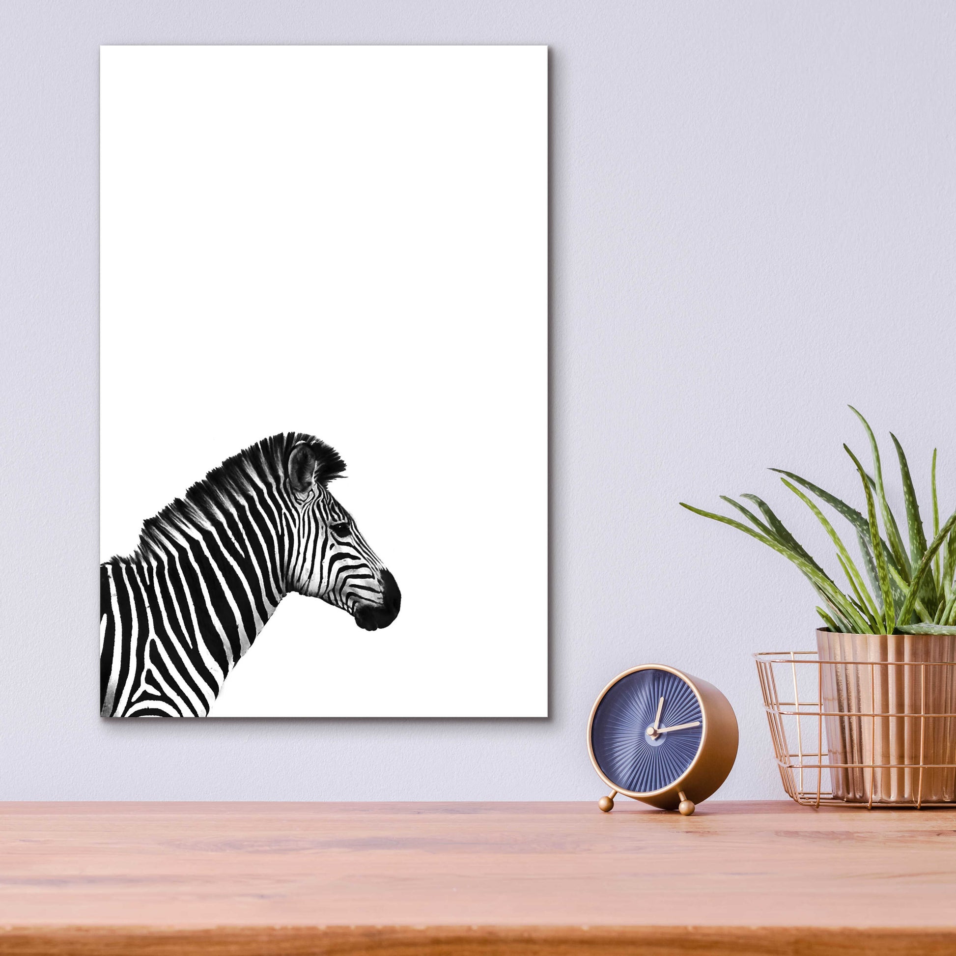 Epic Art 'Zebra 2' by Incado, Acrylic Glass Wall Art,12x16