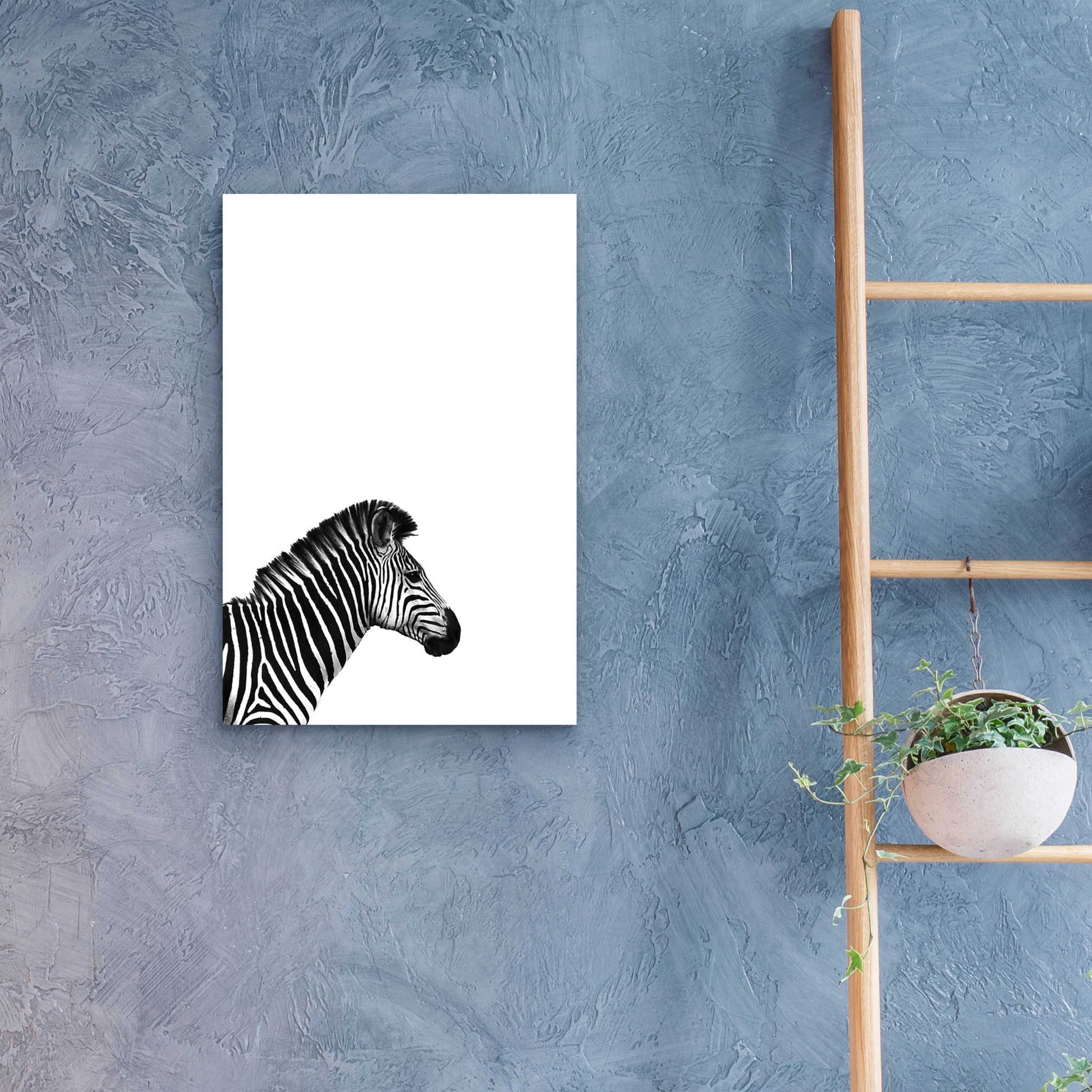 Epic Art 'Zebra 2' by Incado, Acrylic Glass Wall Art,16x24