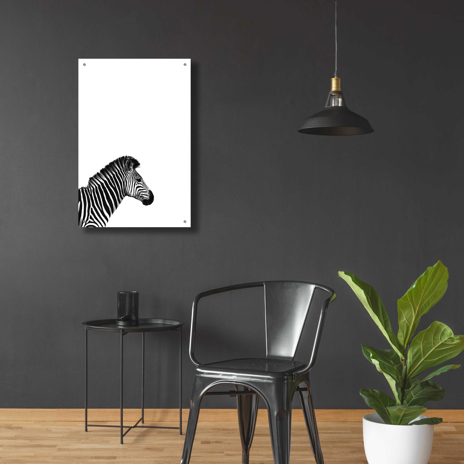 Epic Art 'Zebra 2' by Incado, Acrylic Glass Wall Art,24x36