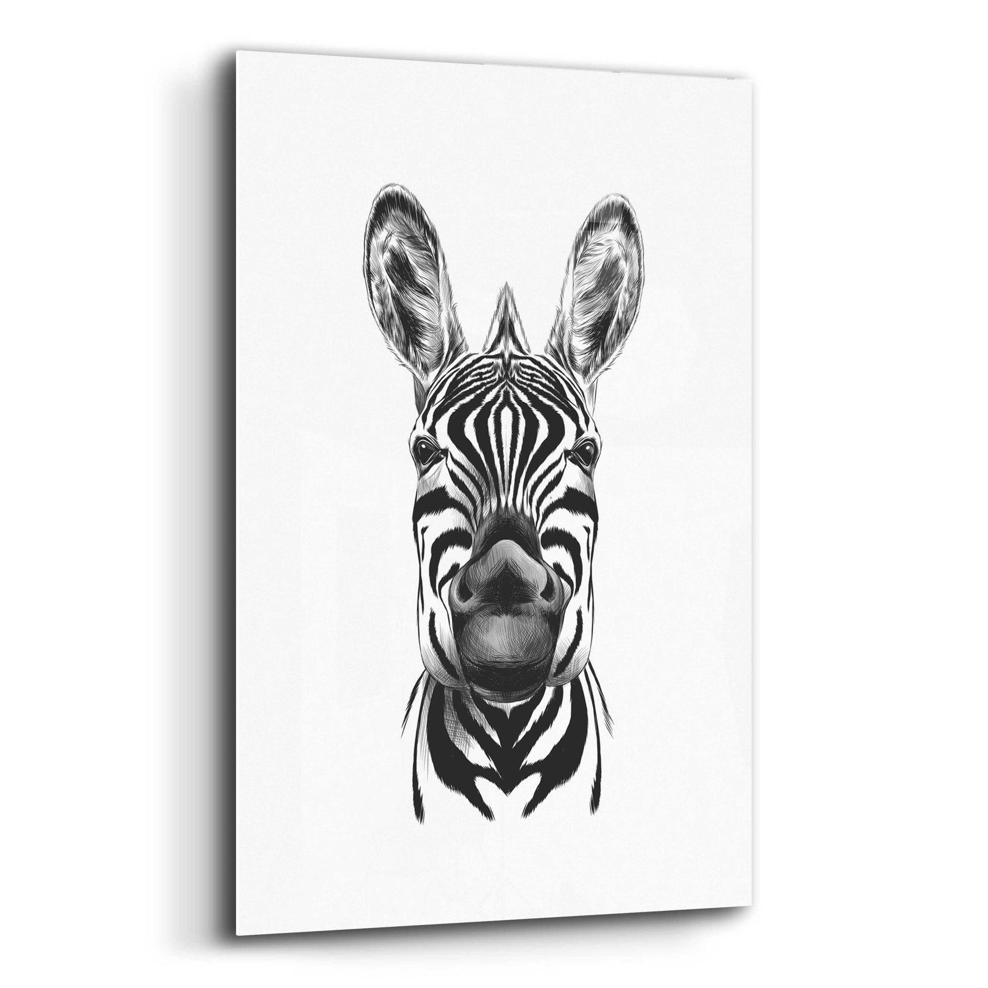 Epic Art 'Zebra Illustration' by Incado, Acrylic Glass Wall Art,12x16