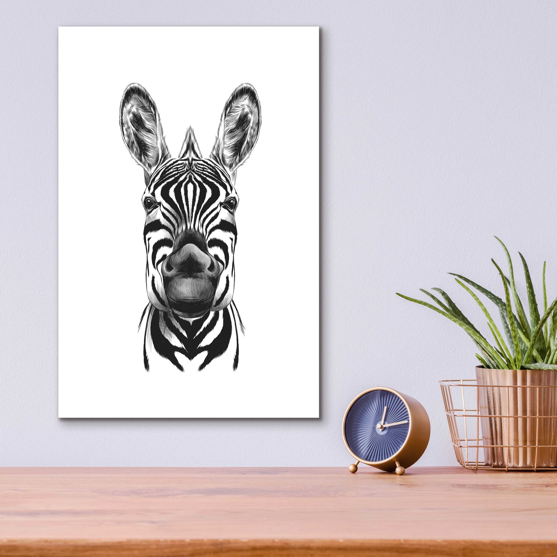 Epic Art 'Zebra Illustration' by Incado, Acrylic Glass Wall Art,12x16