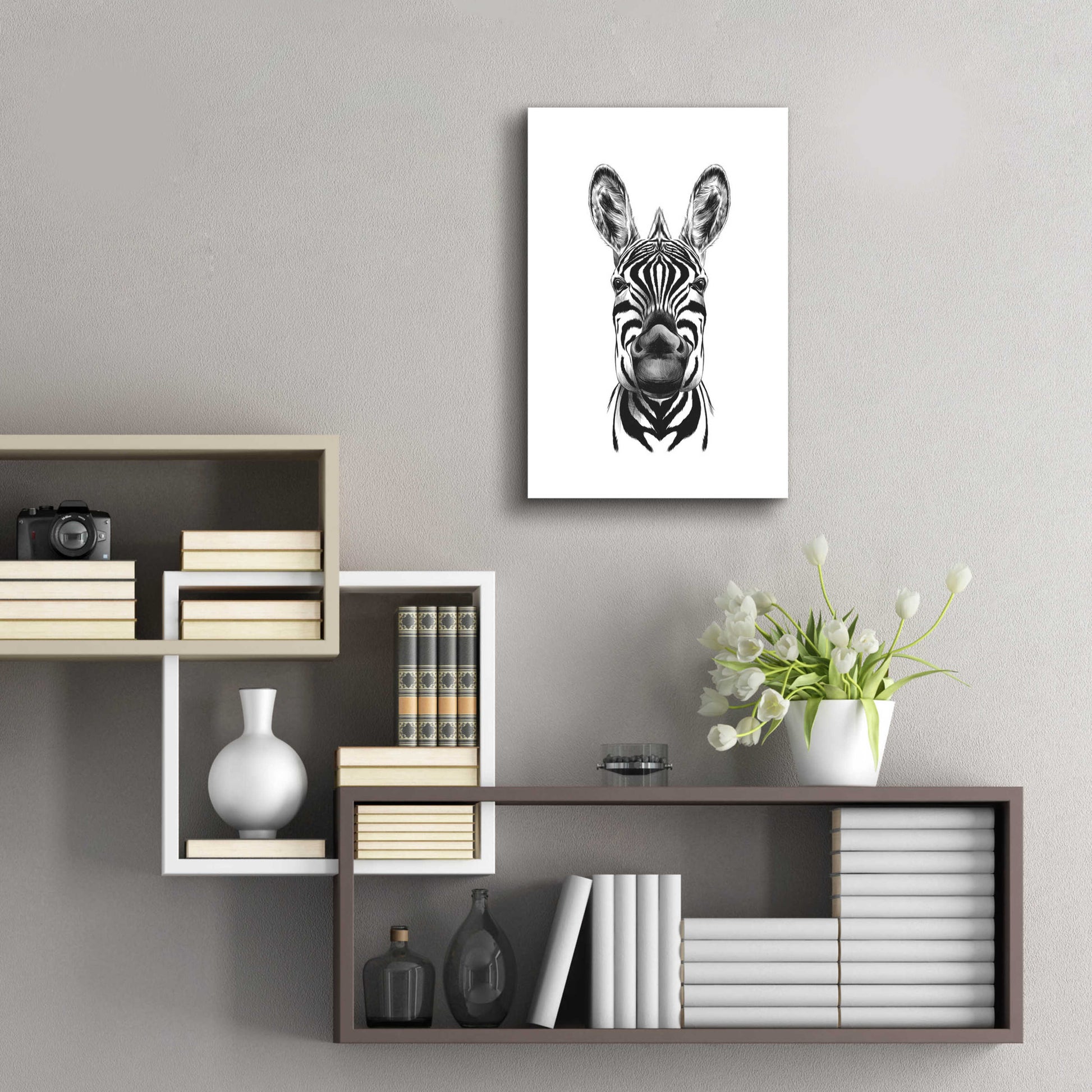 Epic Art 'Zebra Illustration' by Incado, Acrylic Glass Wall Art,16x24