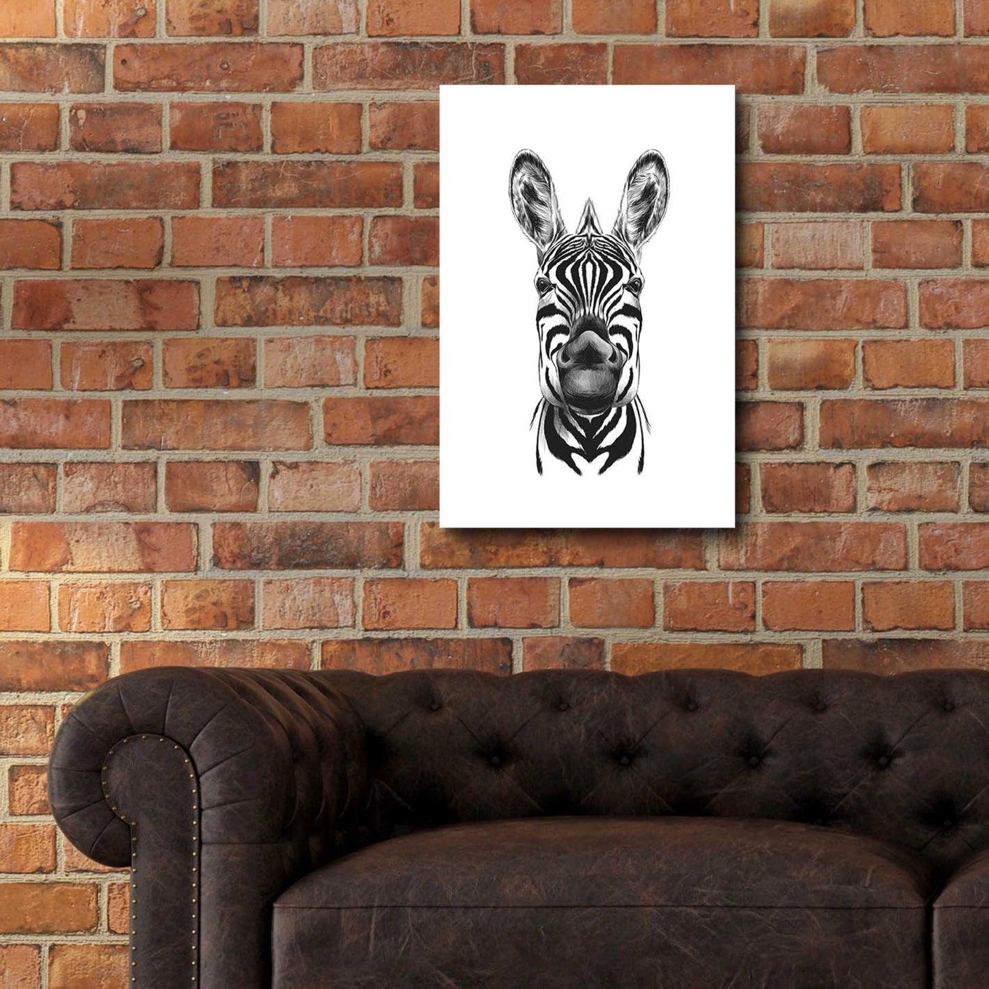 Epic Art 'Zebra Illustration' by Incado, Acrylic Glass Wall Art,16x24