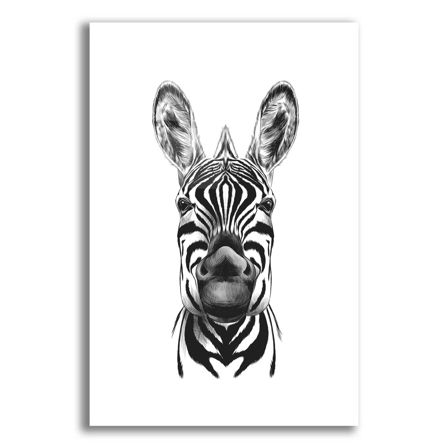 Epic Art 'Zebra Illustration' by Incado, Acrylic Glass Wall Art