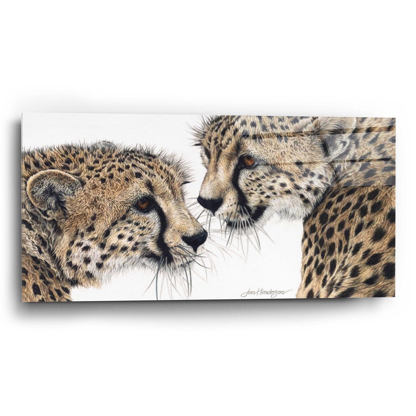 Epic Art 'A Special Bond' by Jan Henderson, Acrylic Glass Wall Art,24x12