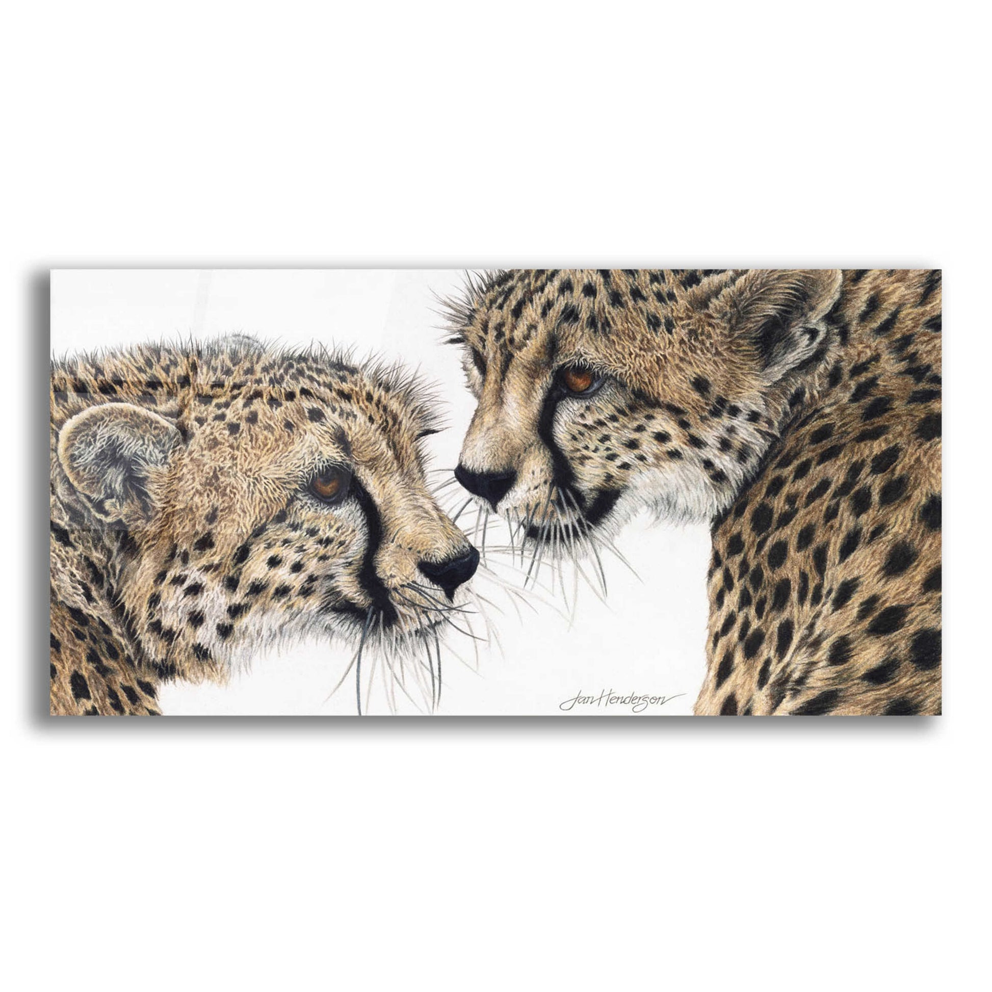 Epic Art 'A Special Bond' by Jan Henderson, Acrylic Glass Wall Art,24x12