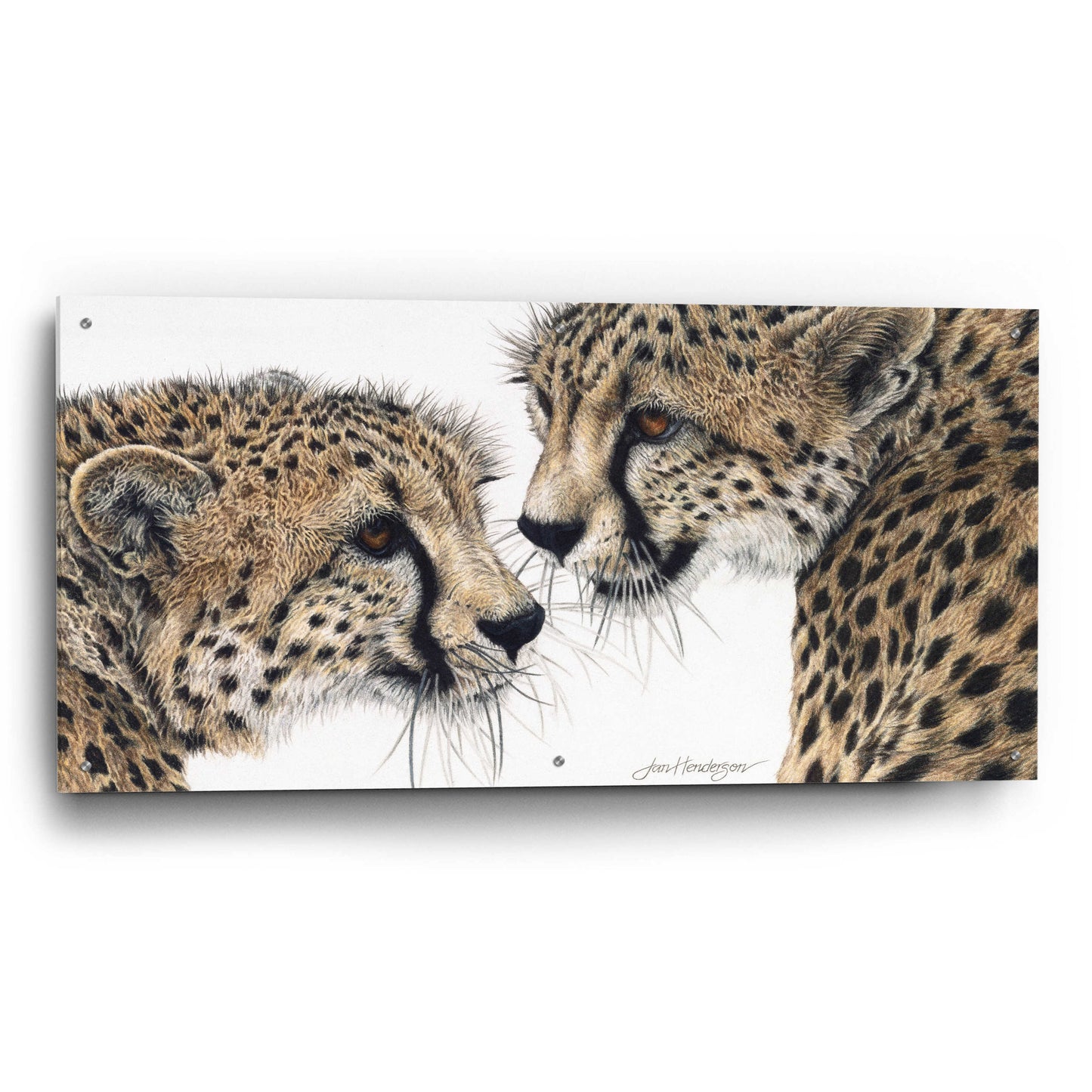 Epic Art 'A Special Bond' by Jan Henderson, Acrylic Glass Wall Art,48x24