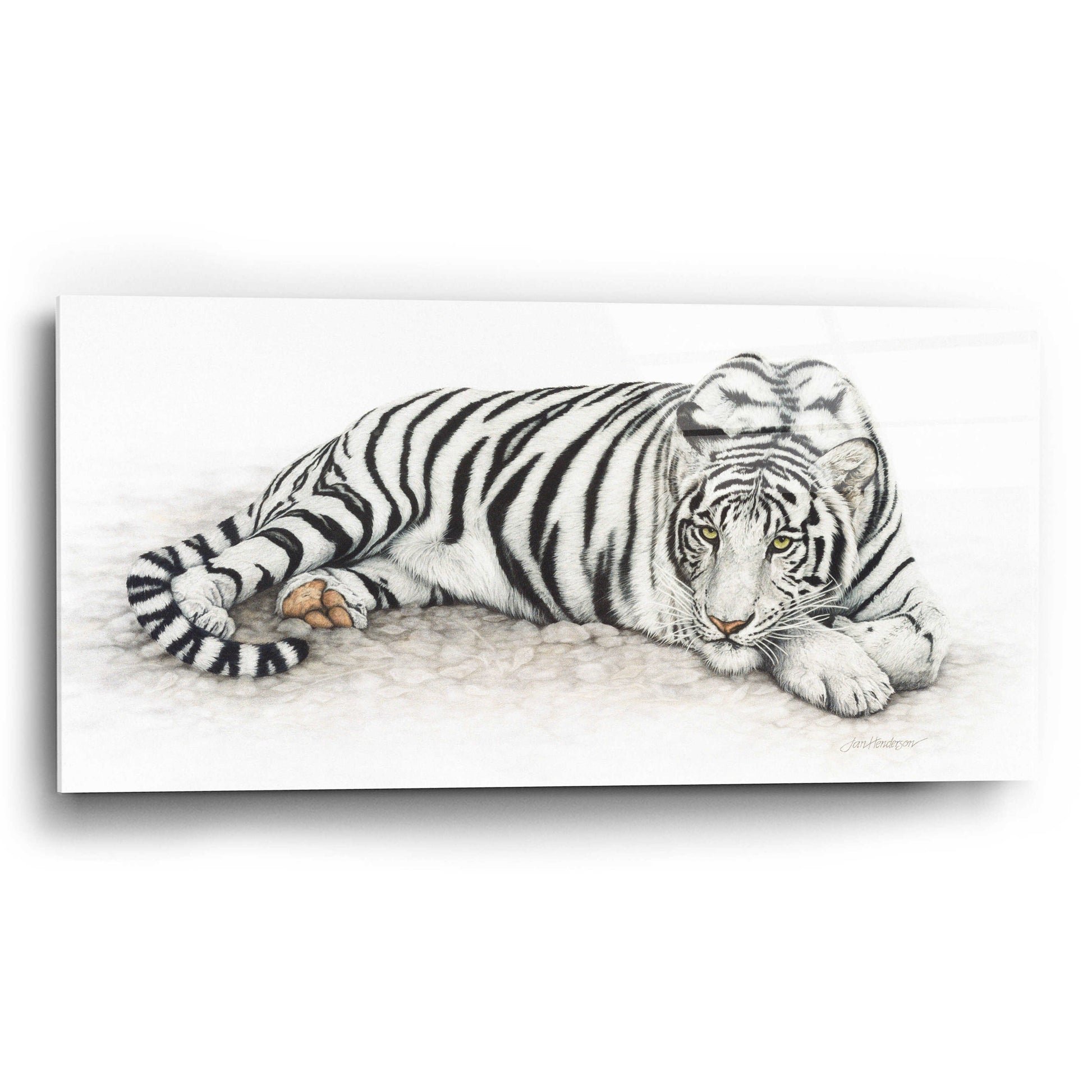 Epic Art 'Siberian Tiger' by Jan Henderson, Acrylic Glass Wall Art,24x12