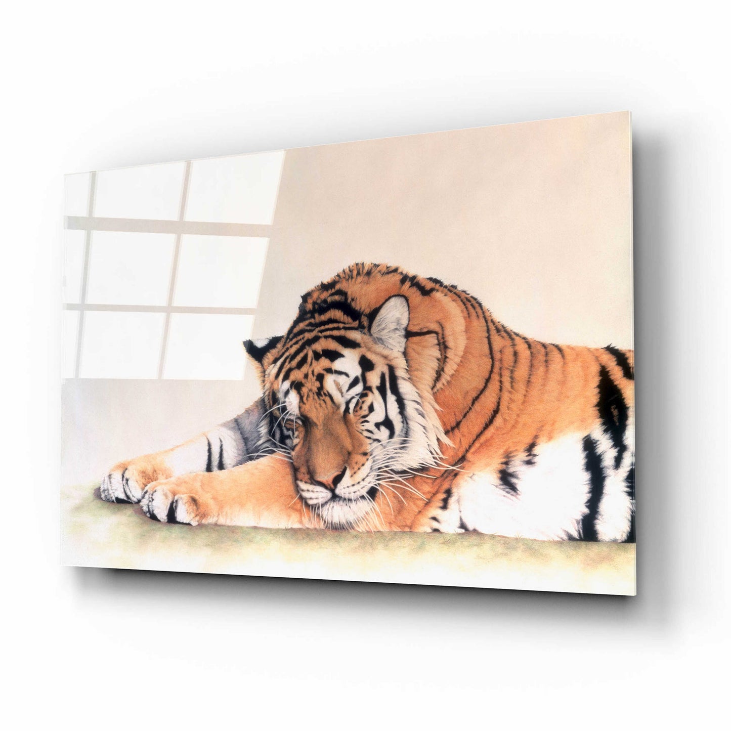 Epic Art 'Sleeping Tiger' by Jan Henderson, Acrylic Glass Wall Art,16x12