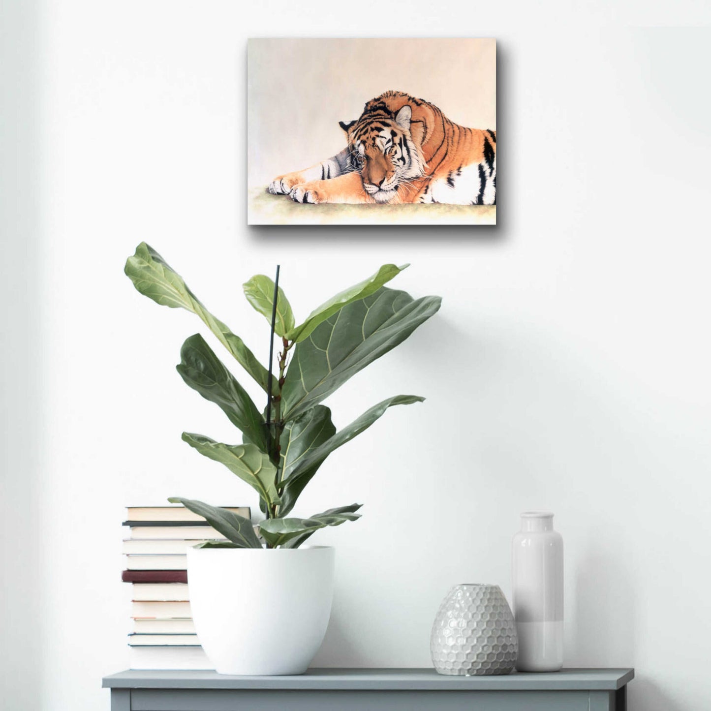 Epic Art 'Sleeping Tiger' by Jan Henderson, Acrylic Glass Wall Art,16x12