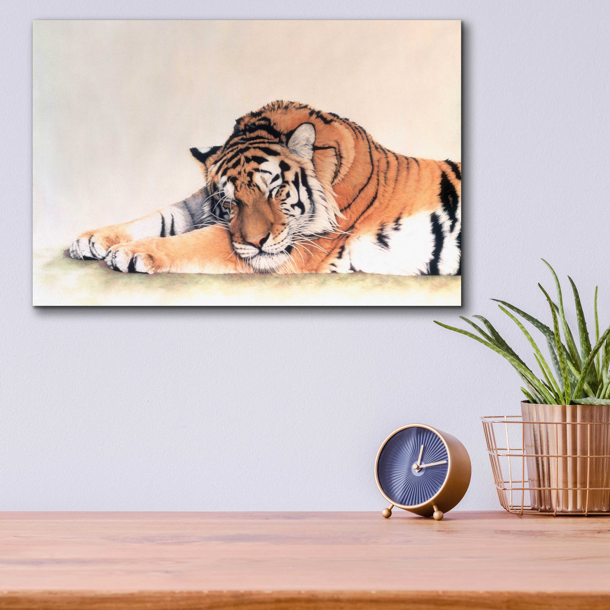 Epic Art 'Sleeping Tiger' by Jan Henderson, Acrylic Glass Wall Art,16x12