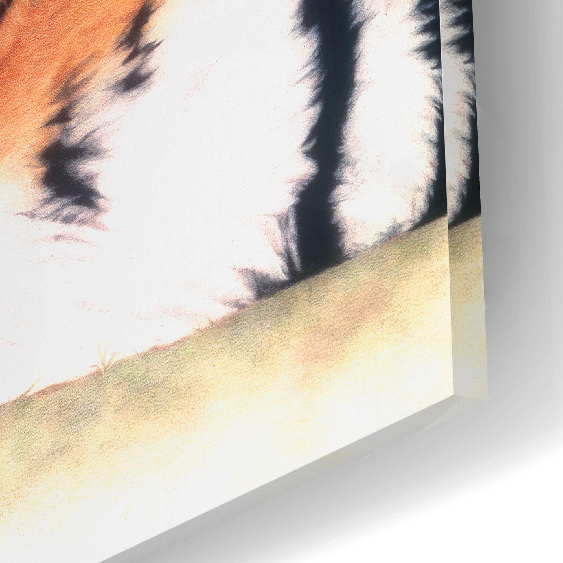 Epic Art 'Sleeping Tiger' by Jan Henderson, Acrylic Glass Wall Art,24x16