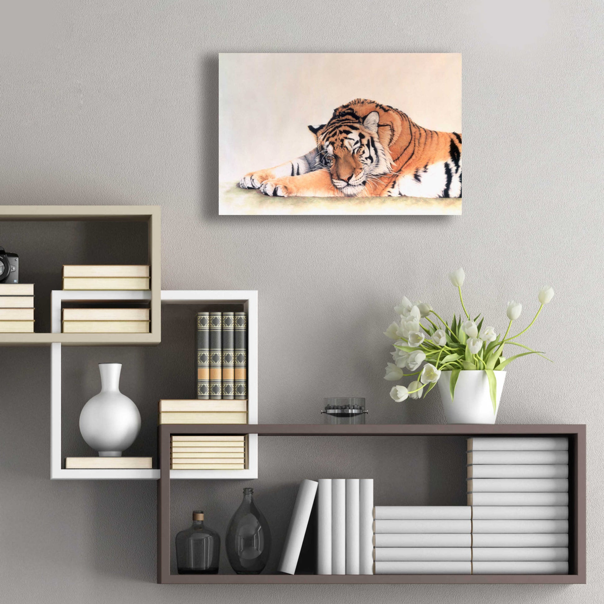 Epic Art 'Sleeping Tiger' by Jan Henderson, Acrylic Glass Wall Art,24x16