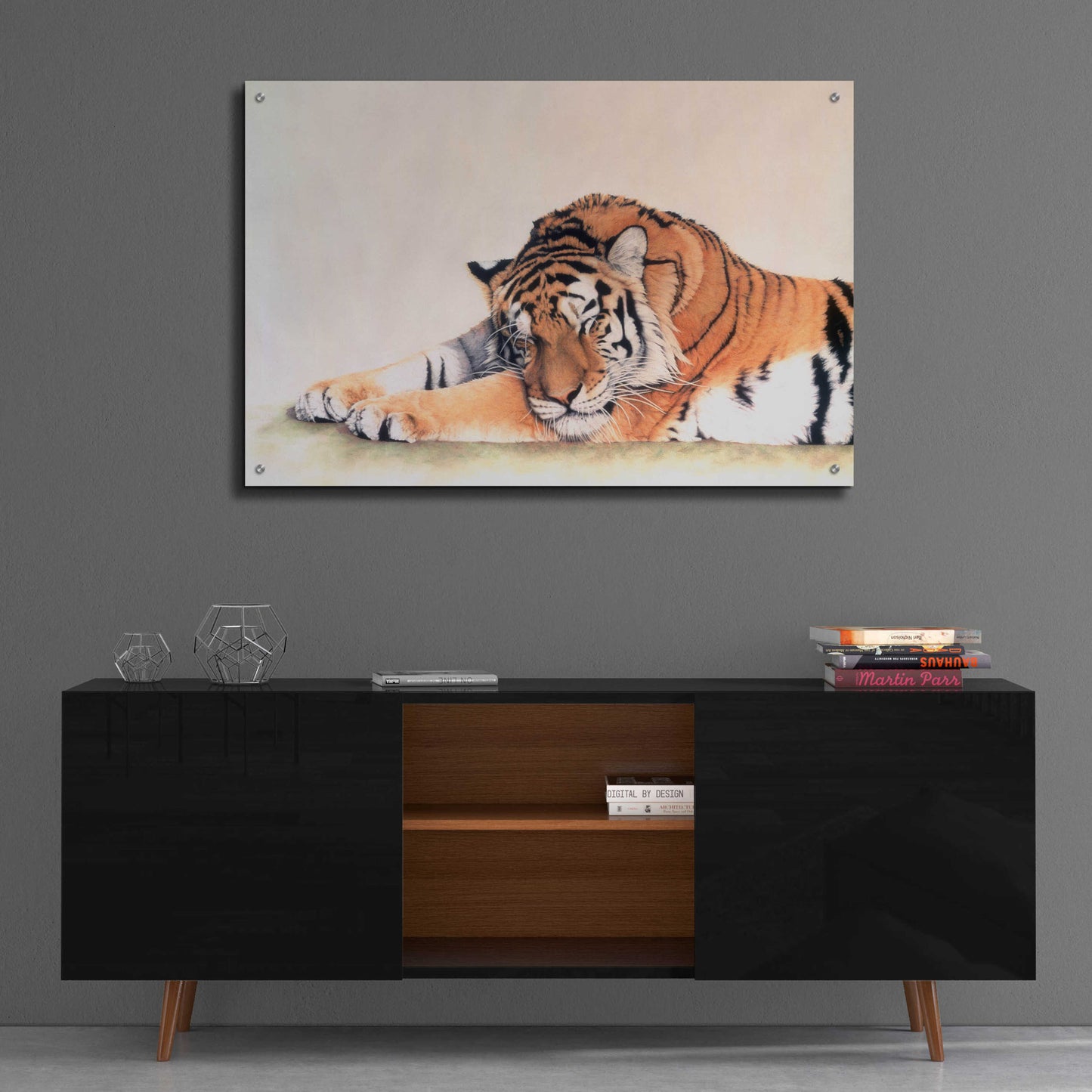 Epic Art 'Sleeping Tiger' by Jan Henderson, Acrylic Glass Wall Art,36x24