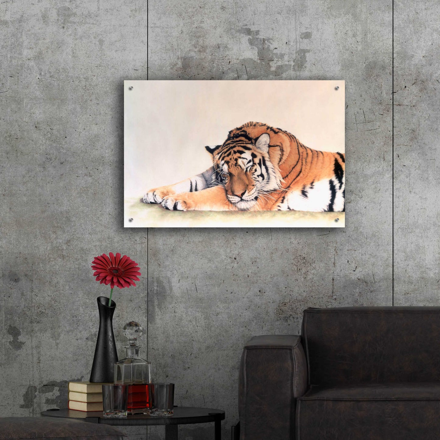 Epic Art 'Sleeping Tiger' by Jan Henderson, Acrylic Glass Wall Art,36x24