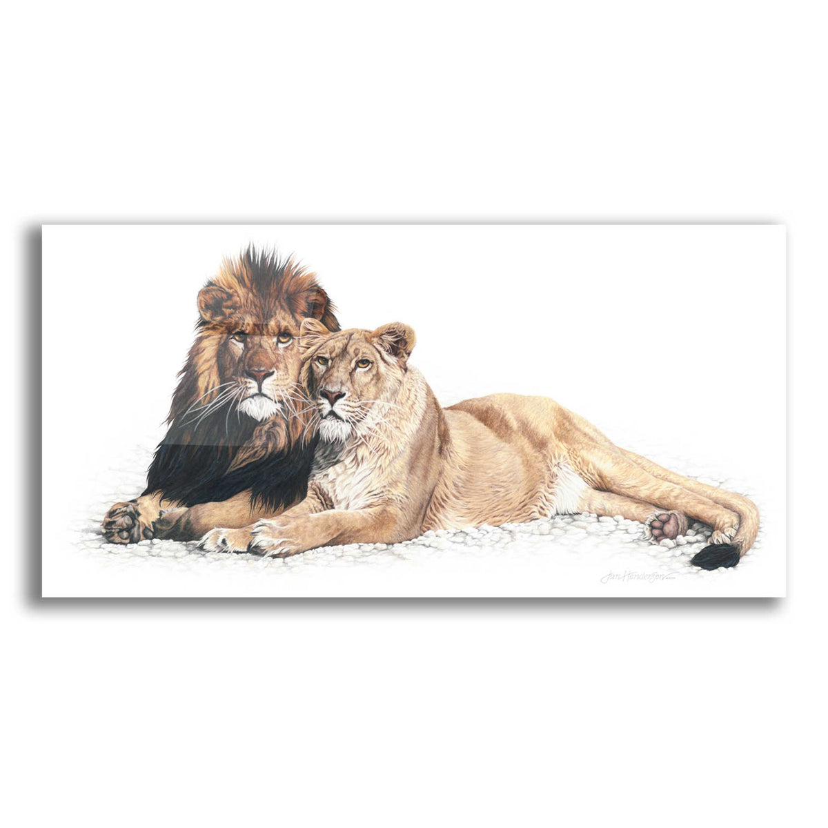 Epic Art 'Soul Mates' by Jan Henderson, Acrylic Glass Wall Art